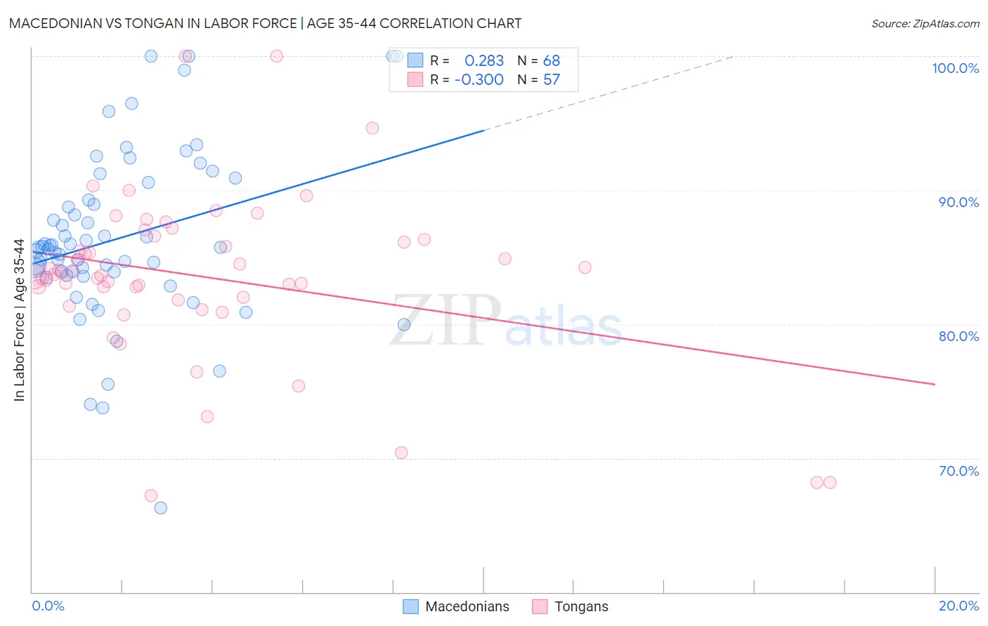 Macedonian vs Tongan In Labor Force | Age 35-44