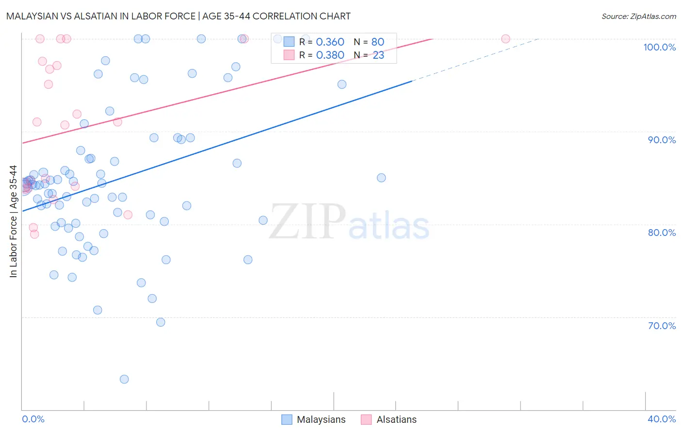 Malaysian vs Alsatian In Labor Force | Age 35-44