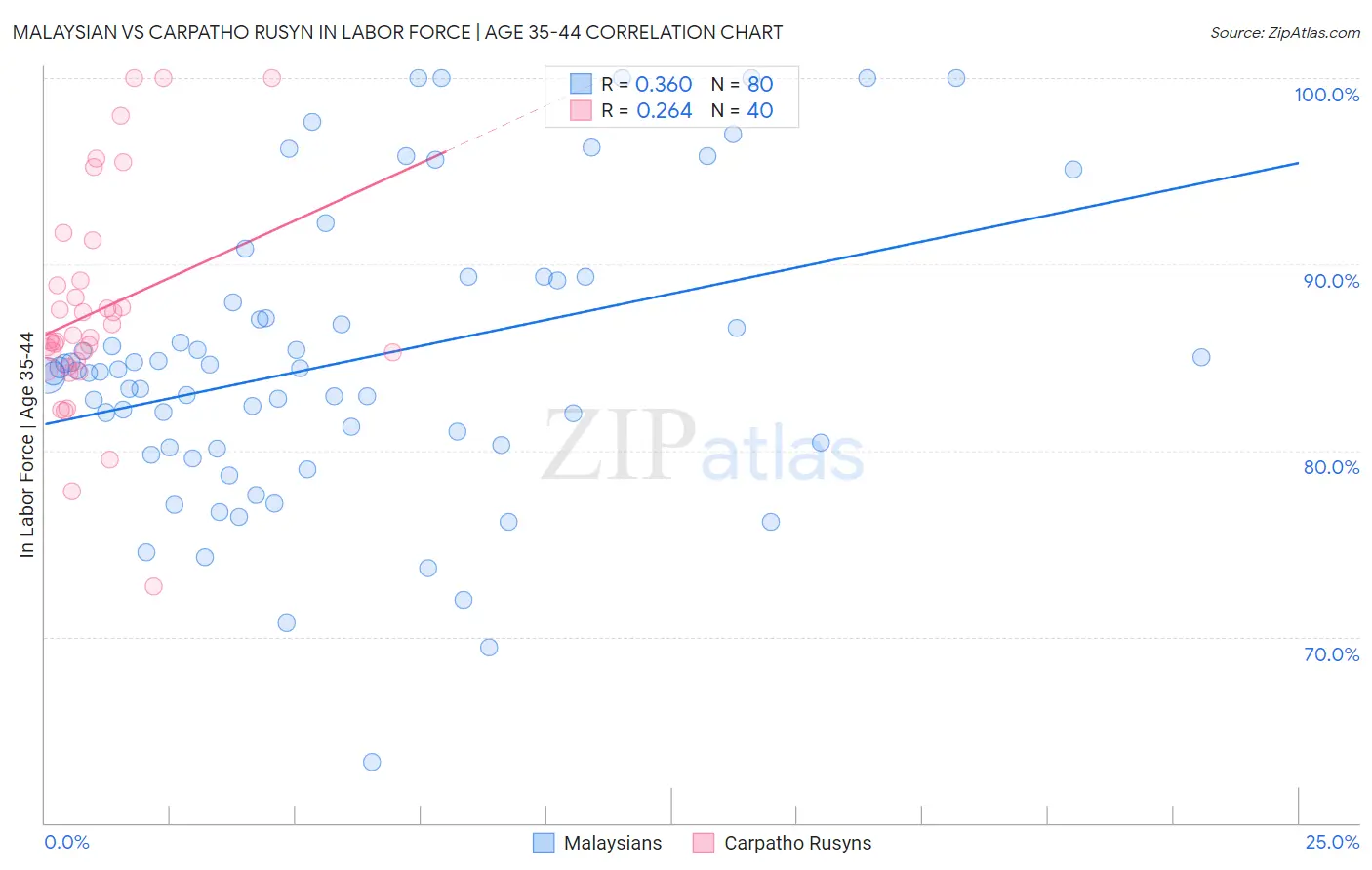 Malaysian vs Carpatho Rusyn In Labor Force | Age 35-44