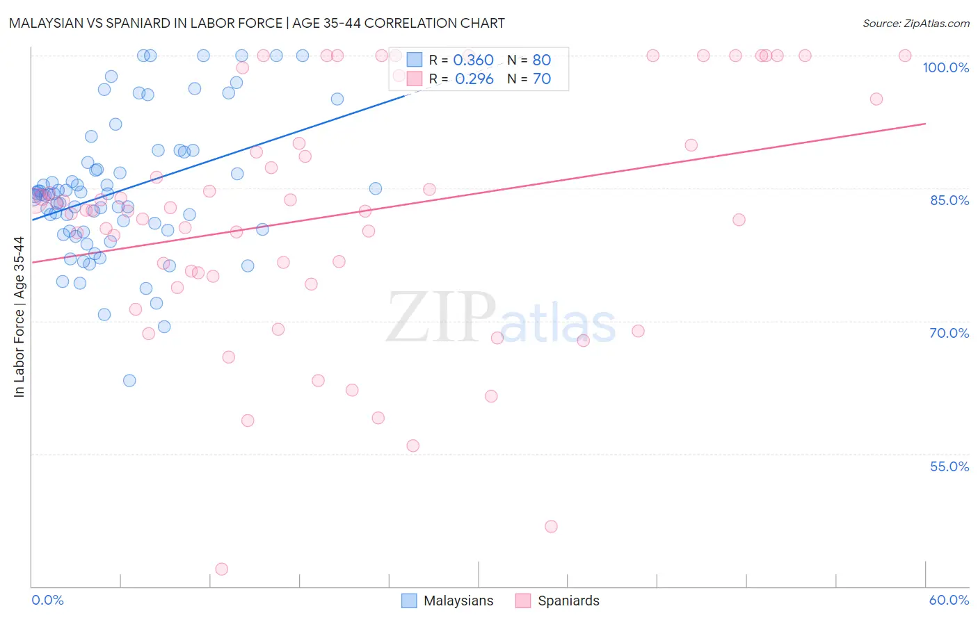 Malaysian vs Spaniard In Labor Force | Age 35-44