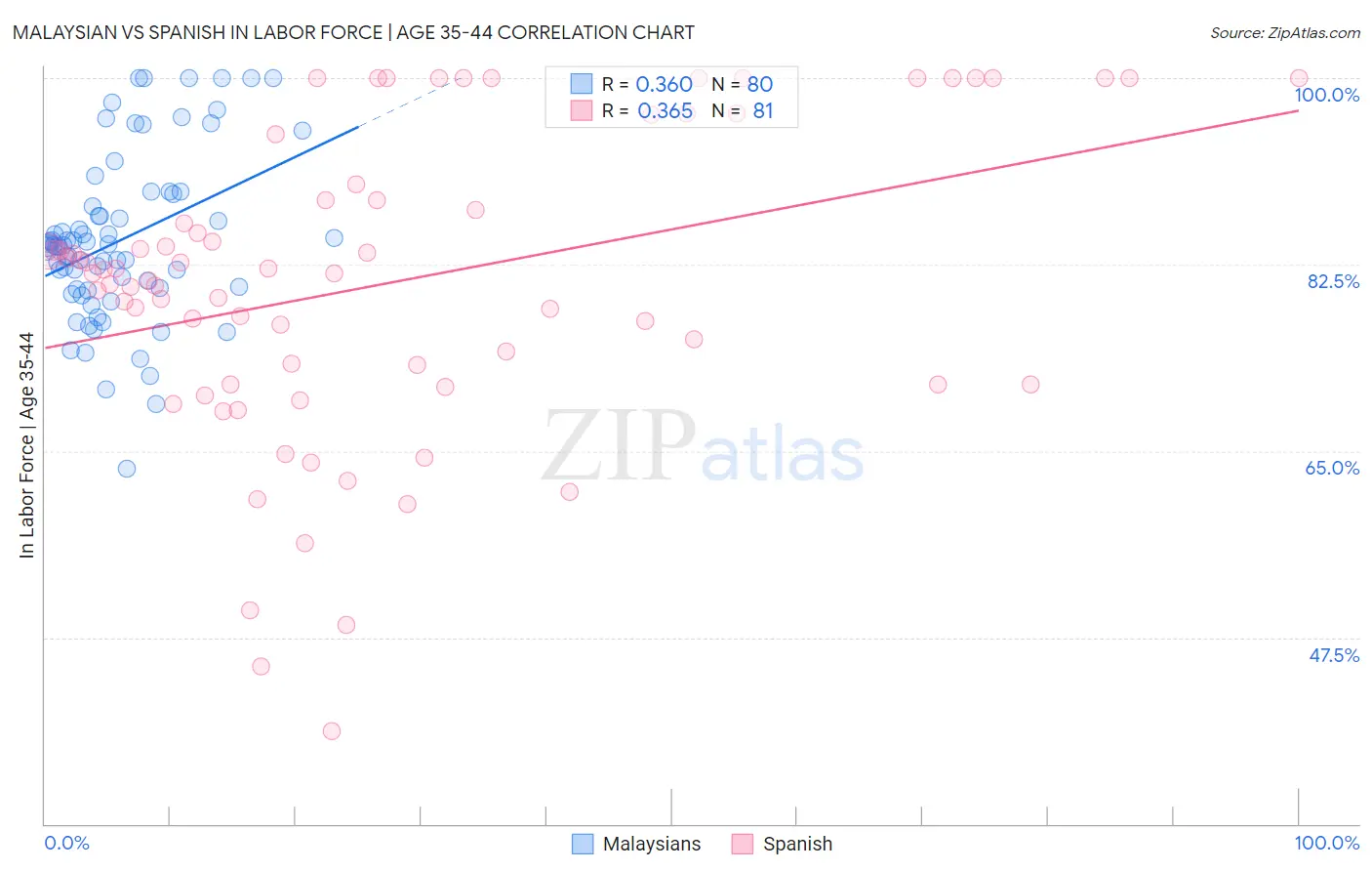 Malaysian vs Spanish In Labor Force | Age 35-44