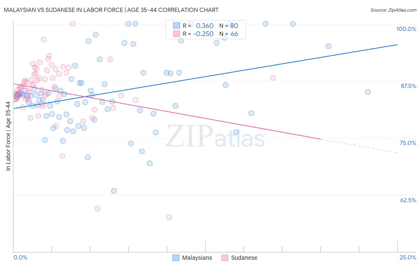 Malaysian vs Sudanese In Labor Force | Age 35-44