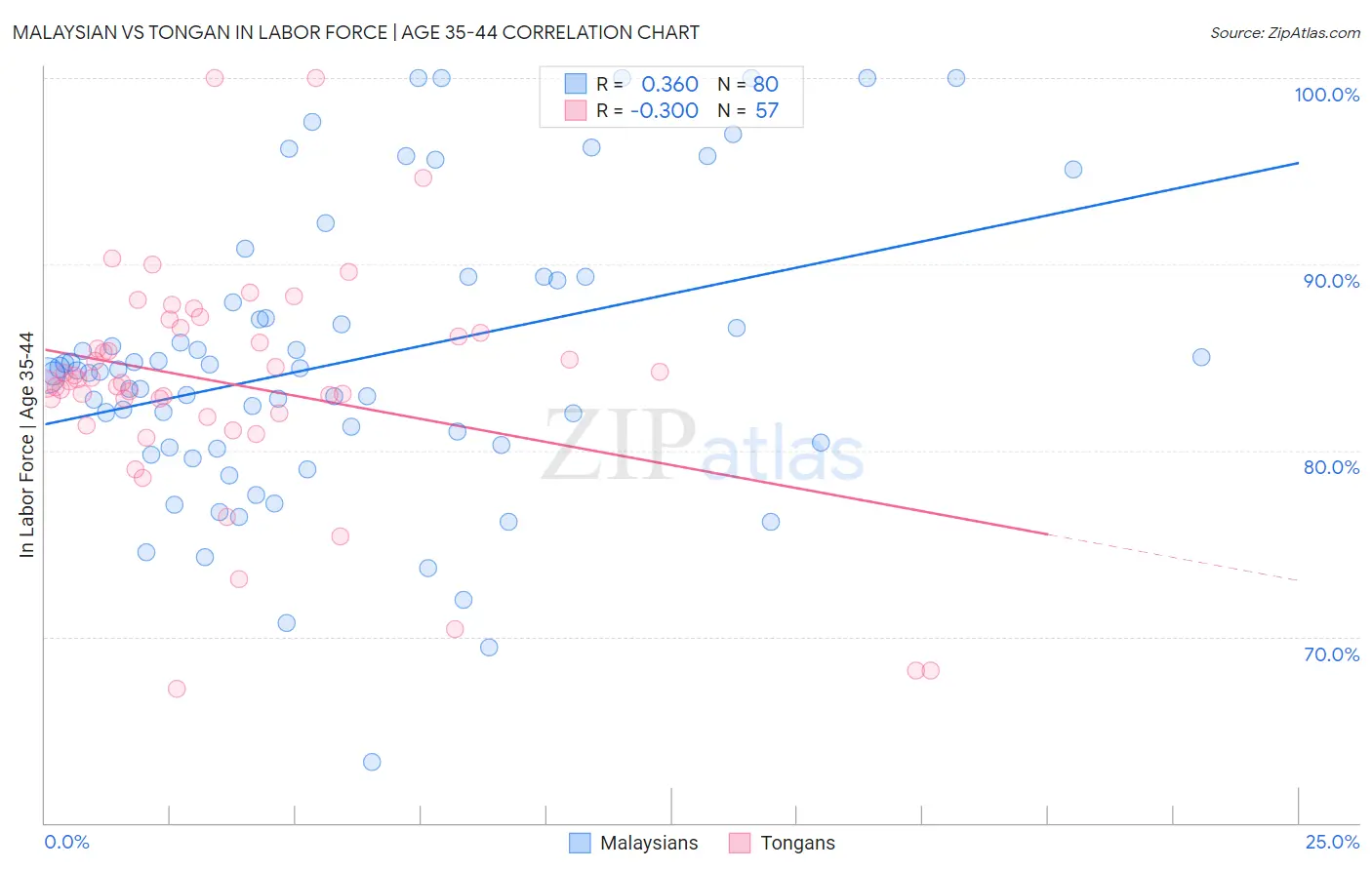 Malaysian vs Tongan In Labor Force | Age 35-44
