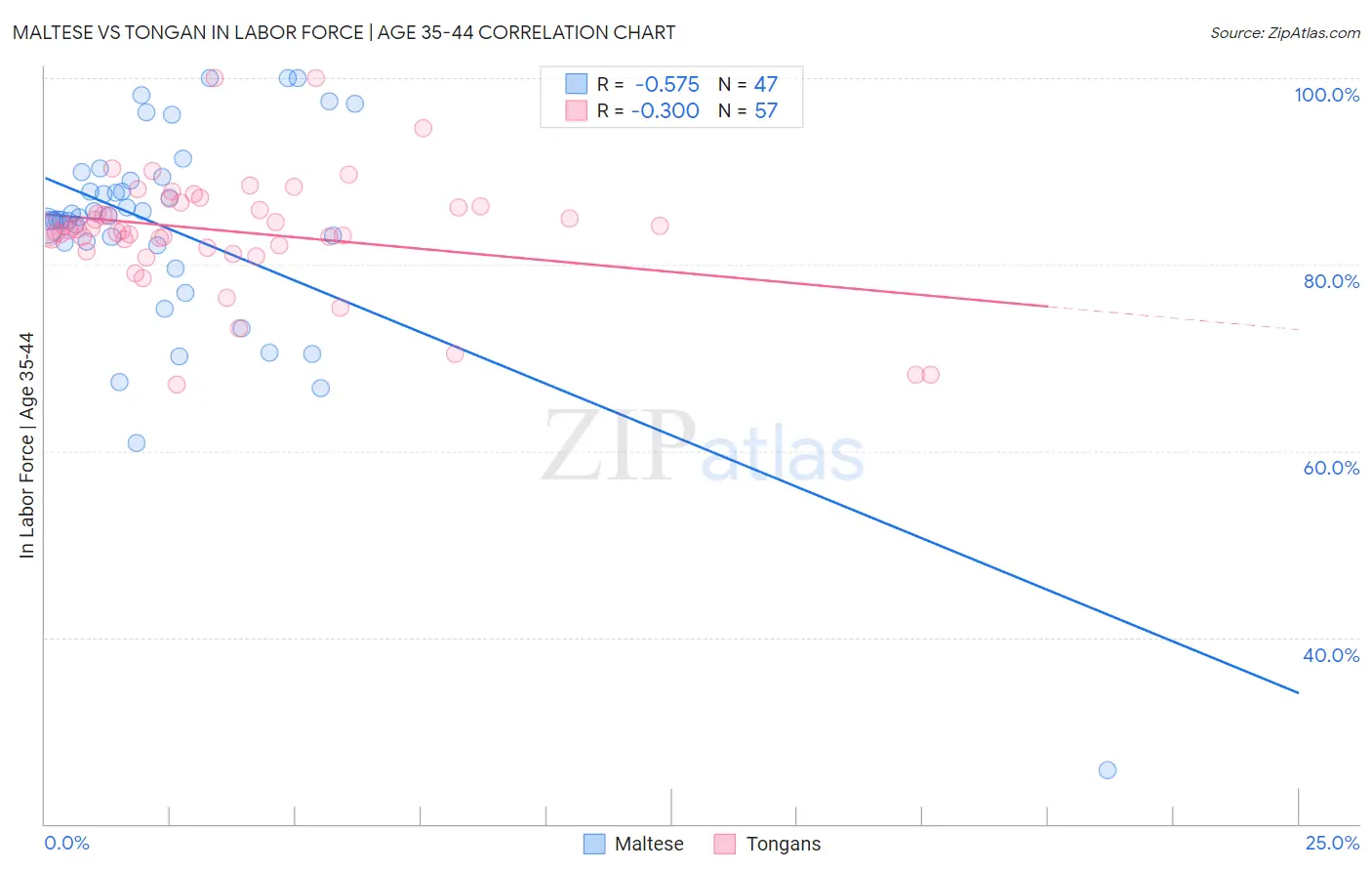 Maltese vs Tongan In Labor Force | Age 35-44