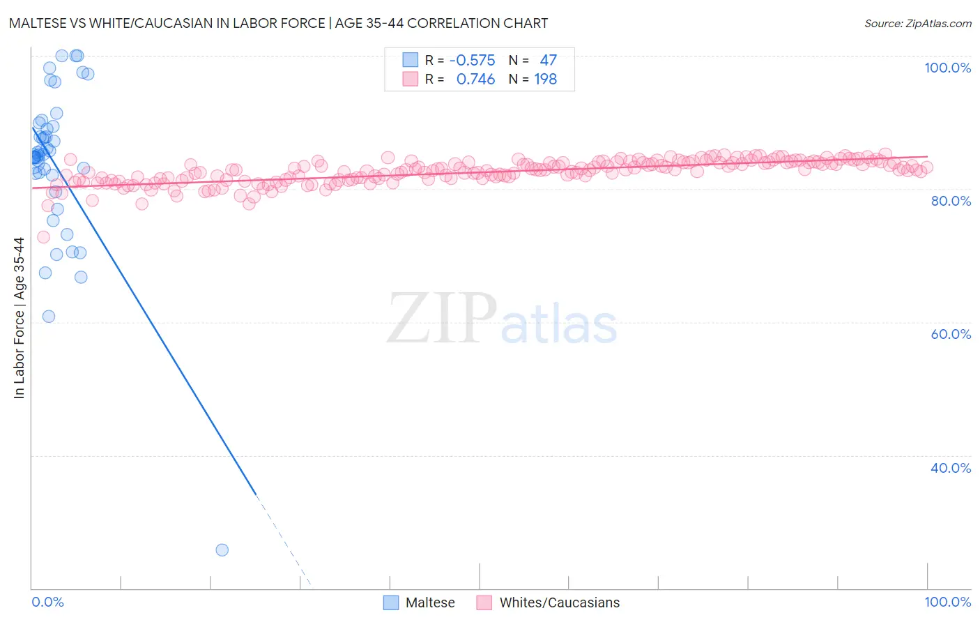Maltese vs White/Caucasian In Labor Force | Age 35-44