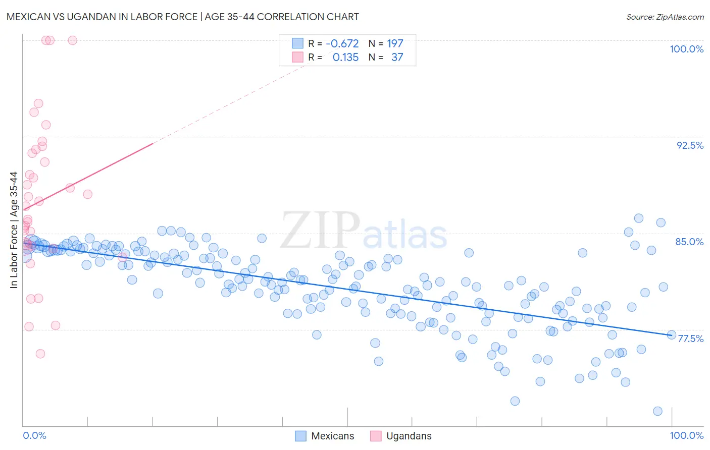 Mexican vs Ugandan In Labor Force | Age 35-44
