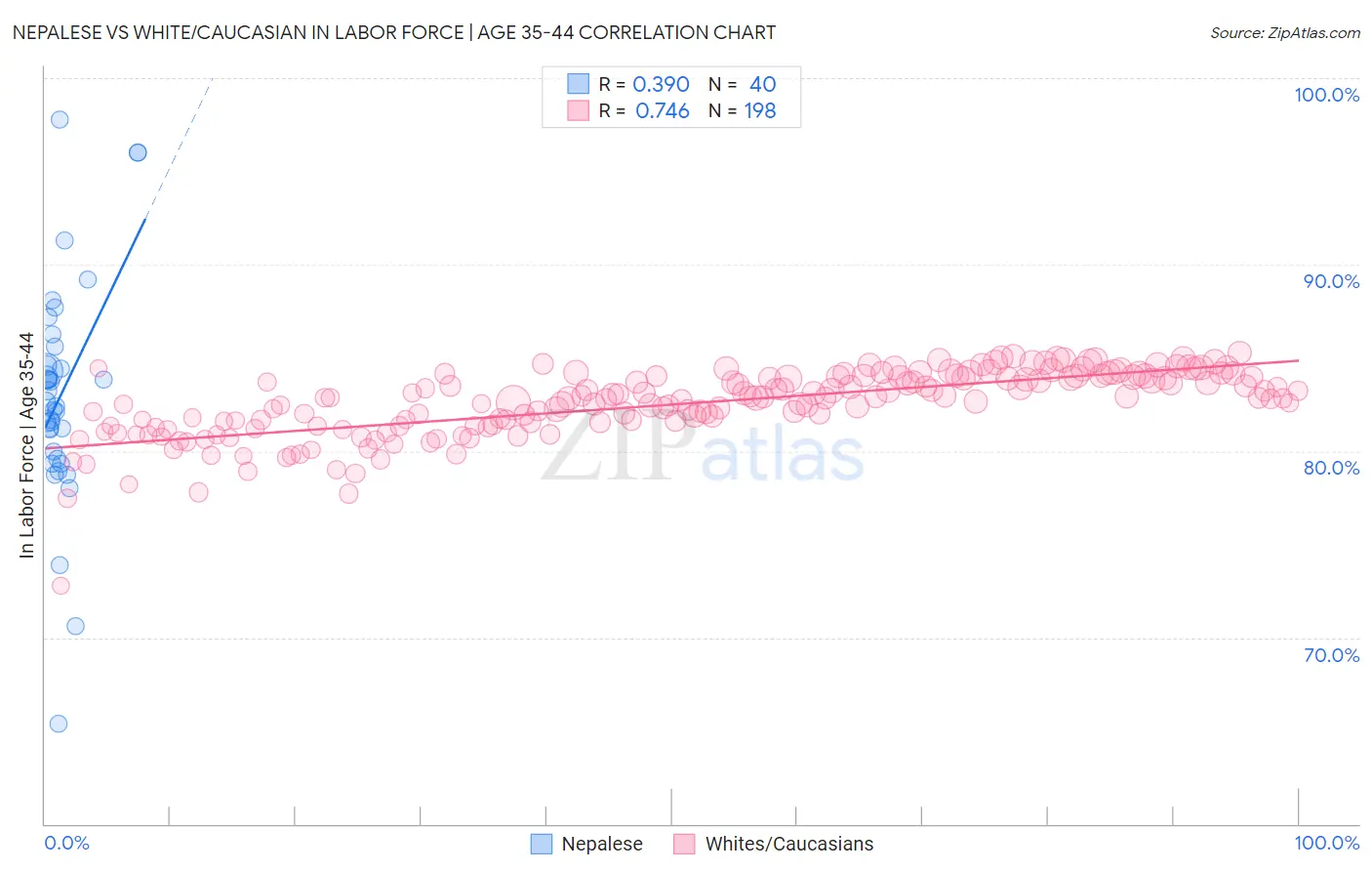 Nepalese vs White/Caucasian In Labor Force | Age 35-44