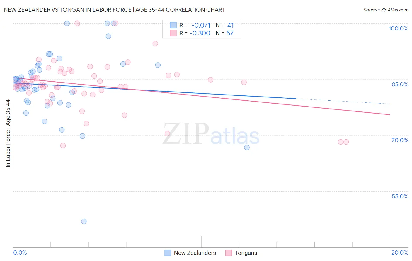 New Zealander vs Tongan In Labor Force | Age 35-44