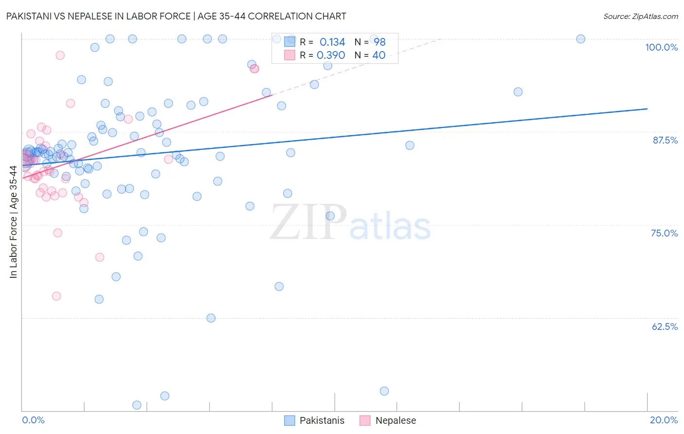 Pakistani vs Nepalese In Labor Force | Age 35-44