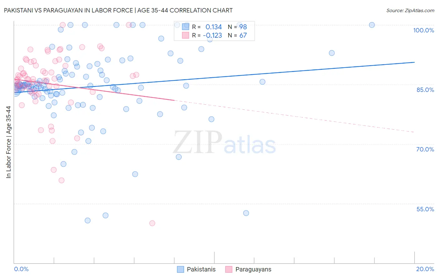 Pakistani vs Paraguayan In Labor Force | Age 35-44