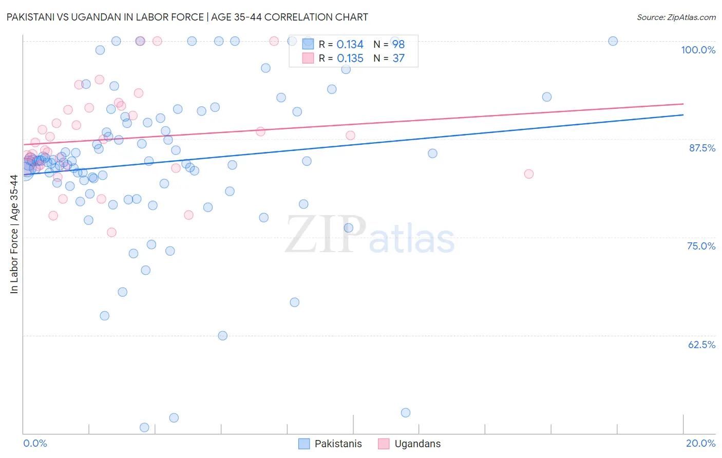 Pakistani vs Ugandan In Labor Force | Age 35-44