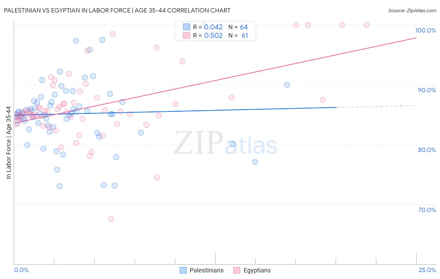 Palestinian vs Egyptian In Labor Force | Age 35-44