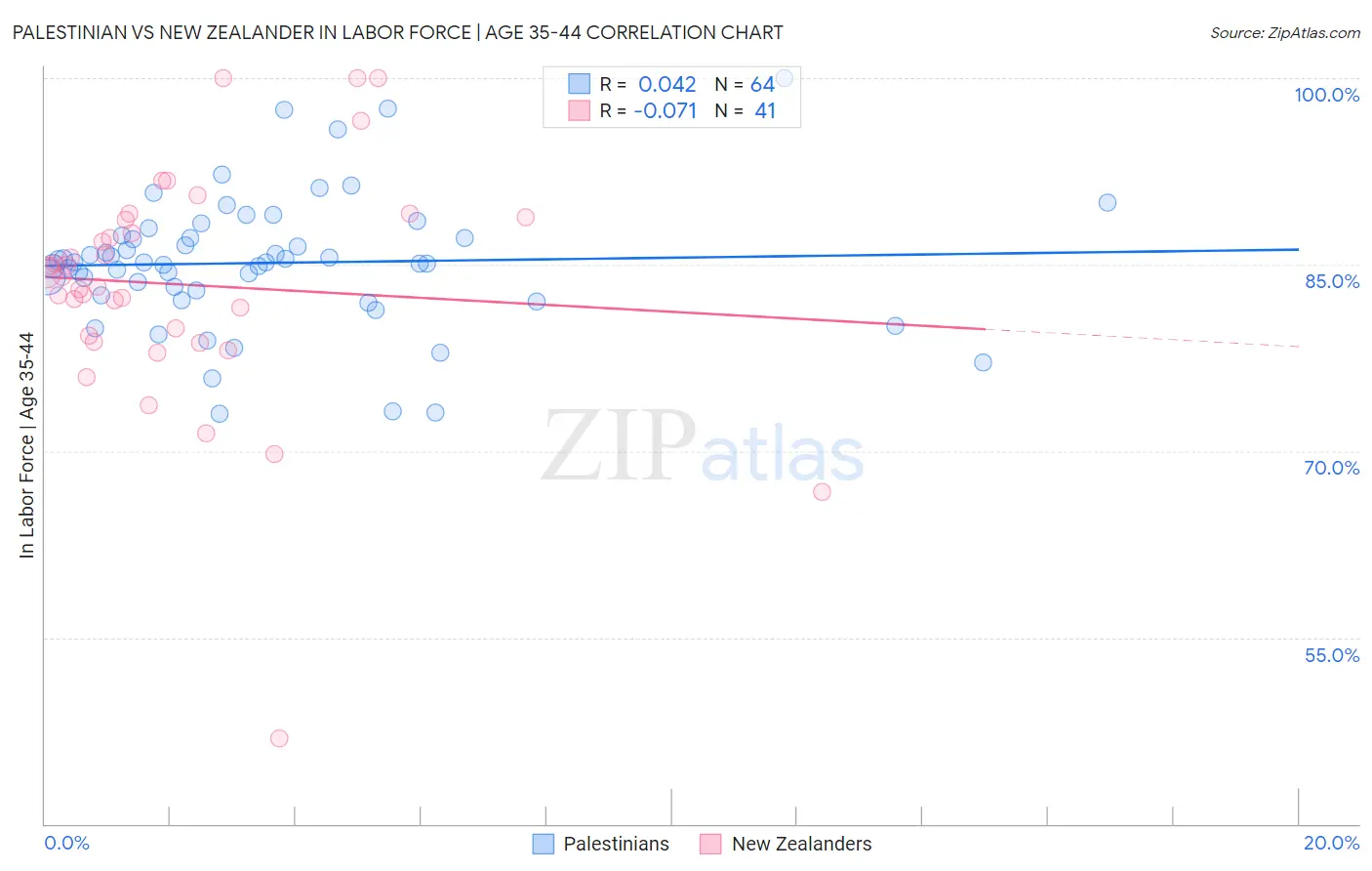 Palestinian vs New Zealander In Labor Force | Age 35-44