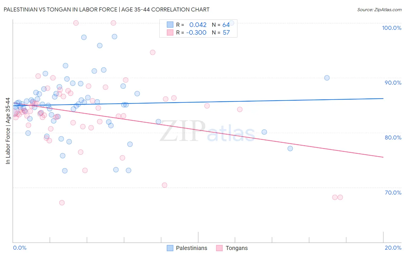 Palestinian vs Tongan In Labor Force | Age 35-44