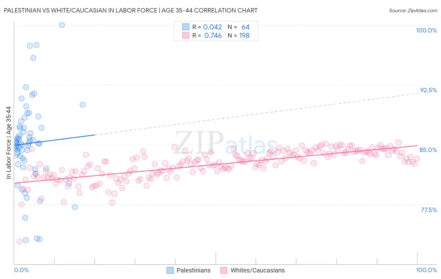 Palestinian vs White/Caucasian In Labor Force | Age 35-44