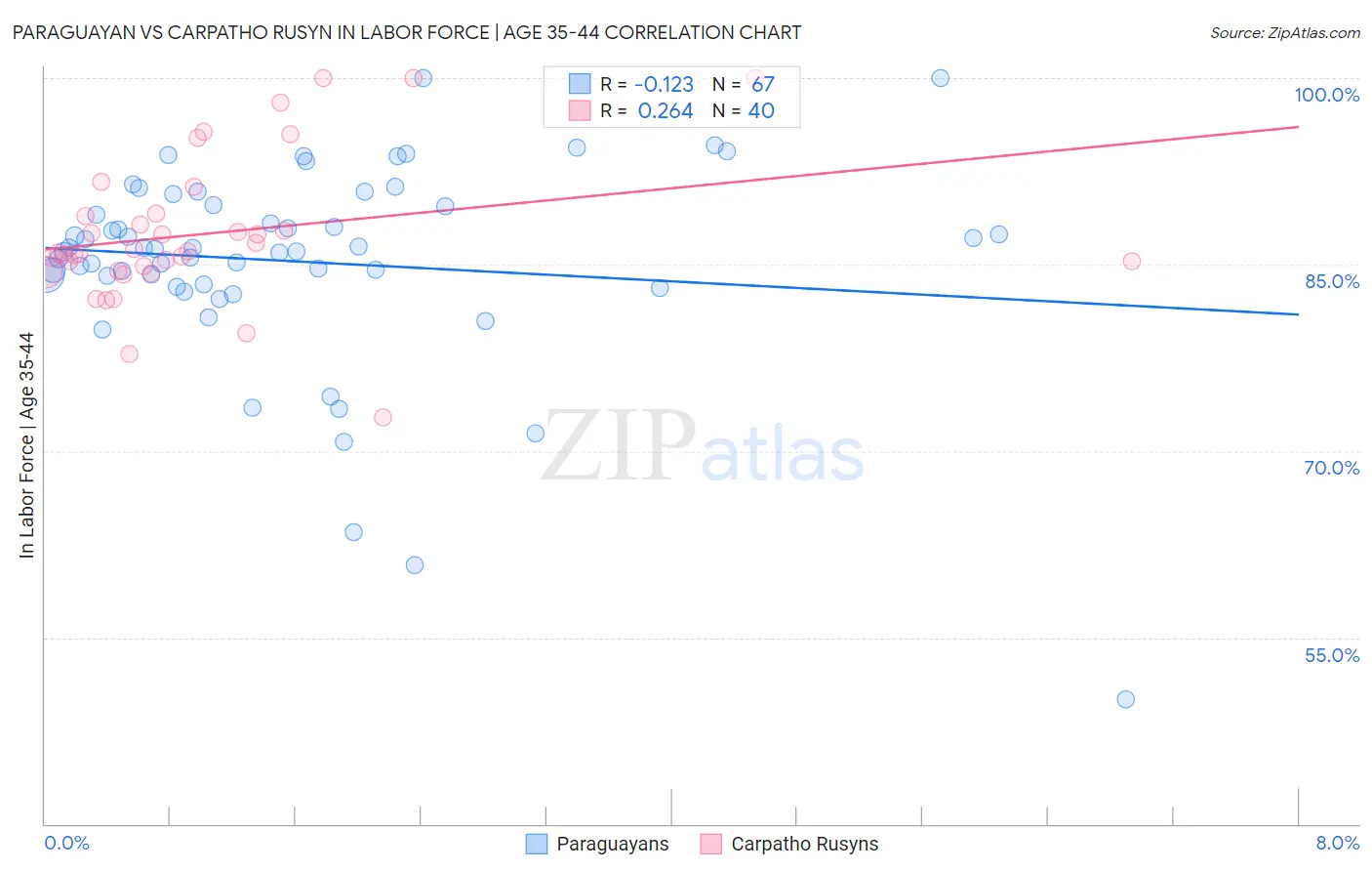 Paraguayan vs Carpatho Rusyn In Labor Force | Age 35-44