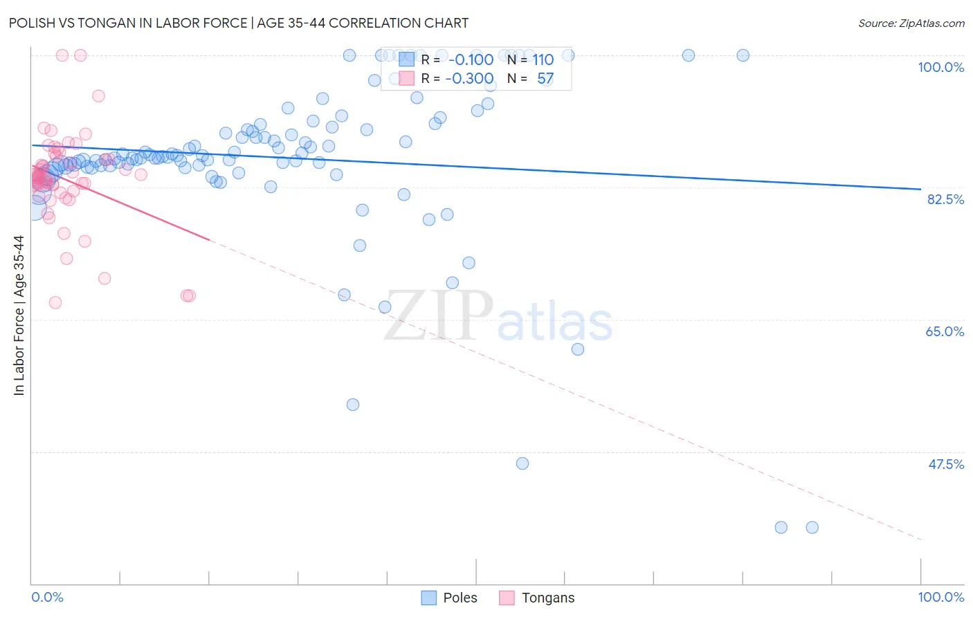 Polish vs Tongan In Labor Force | Age 35-44