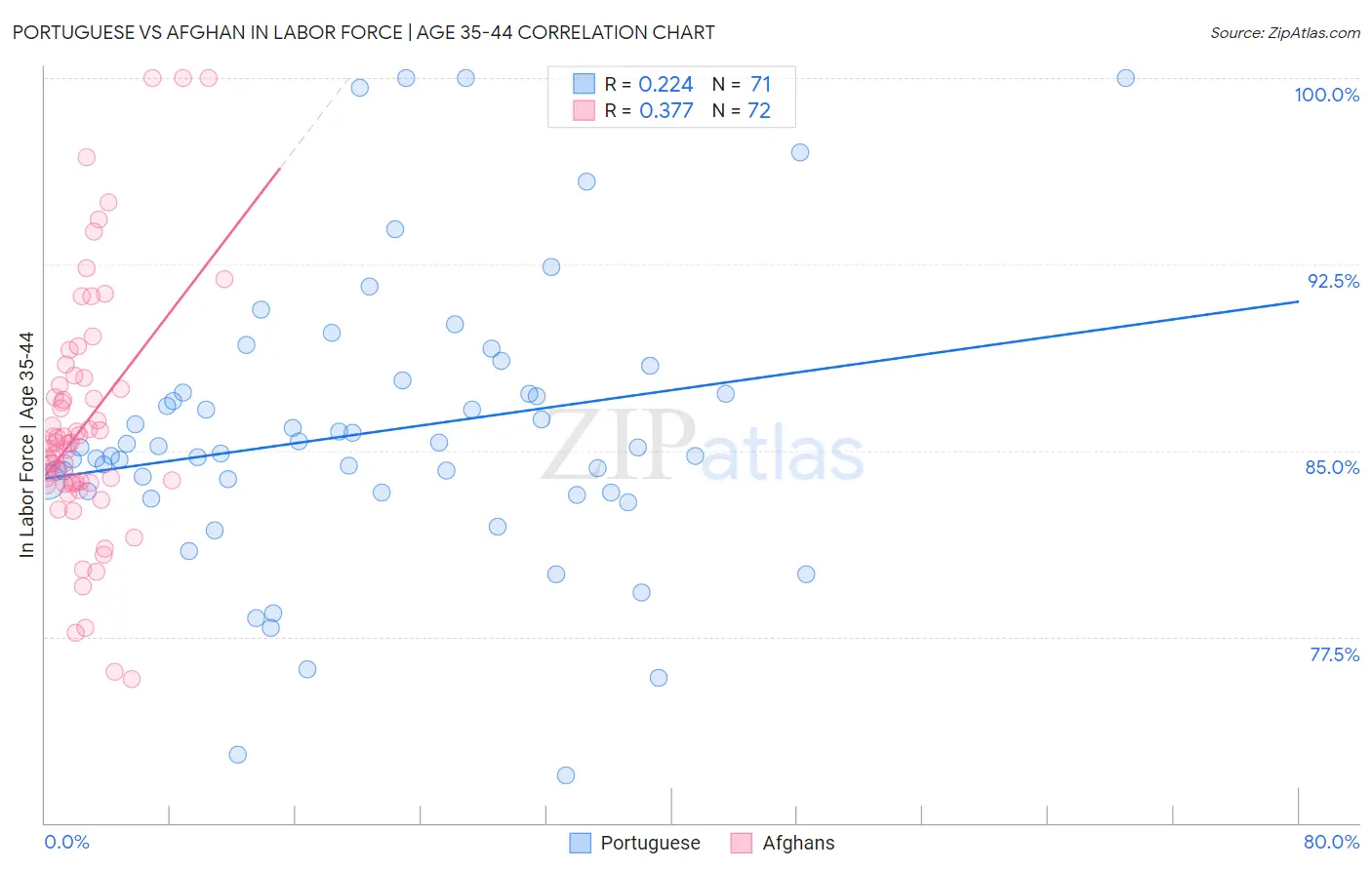 Portuguese vs Afghan In Labor Force | Age 35-44