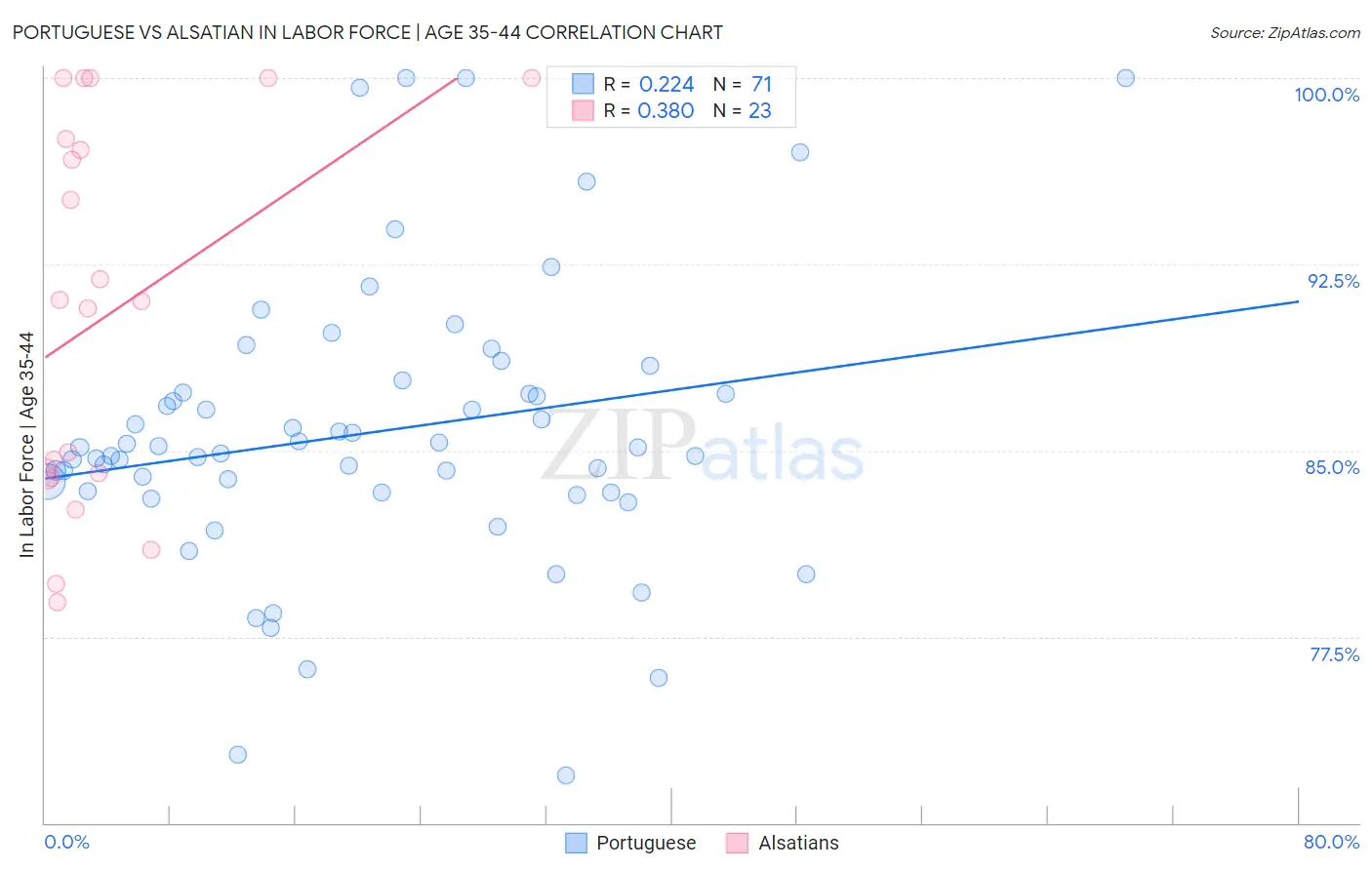Portuguese vs Alsatian In Labor Force | Age 35-44