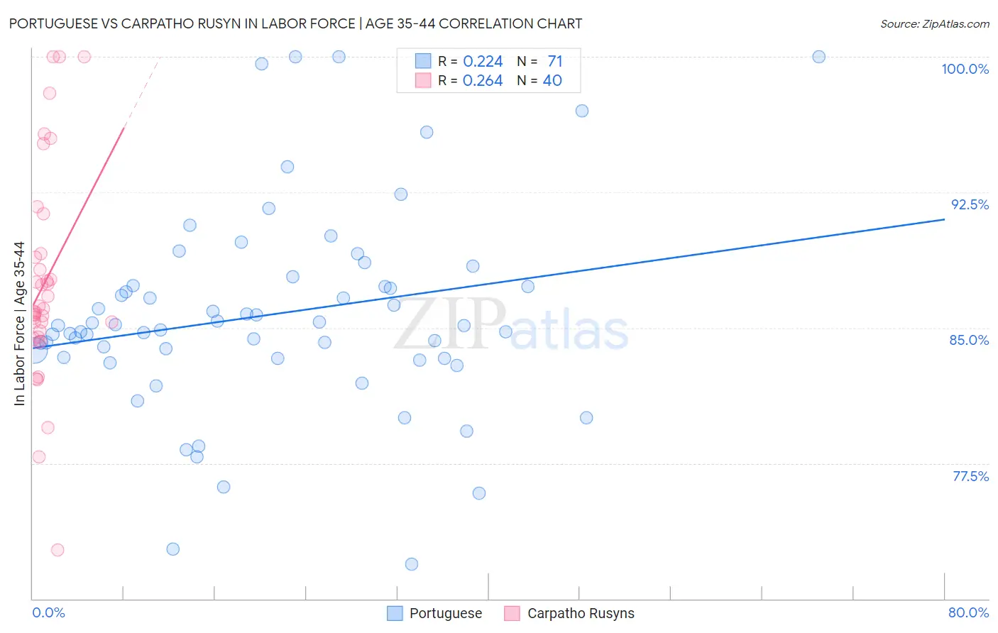 Portuguese vs Carpatho Rusyn In Labor Force | Age 35-44