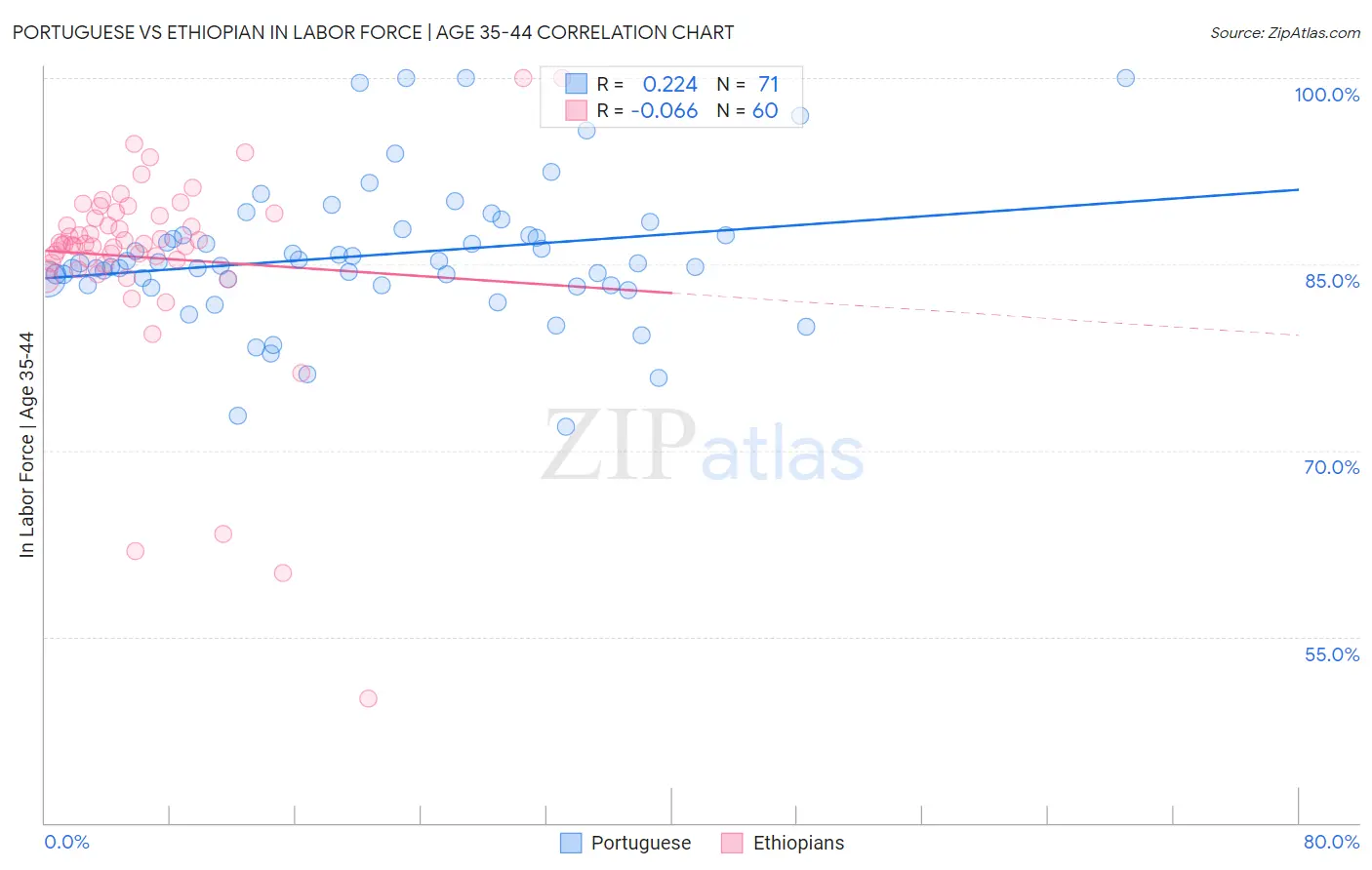 Portuguese vs Ethiopian In Labor Force | Age 35-44