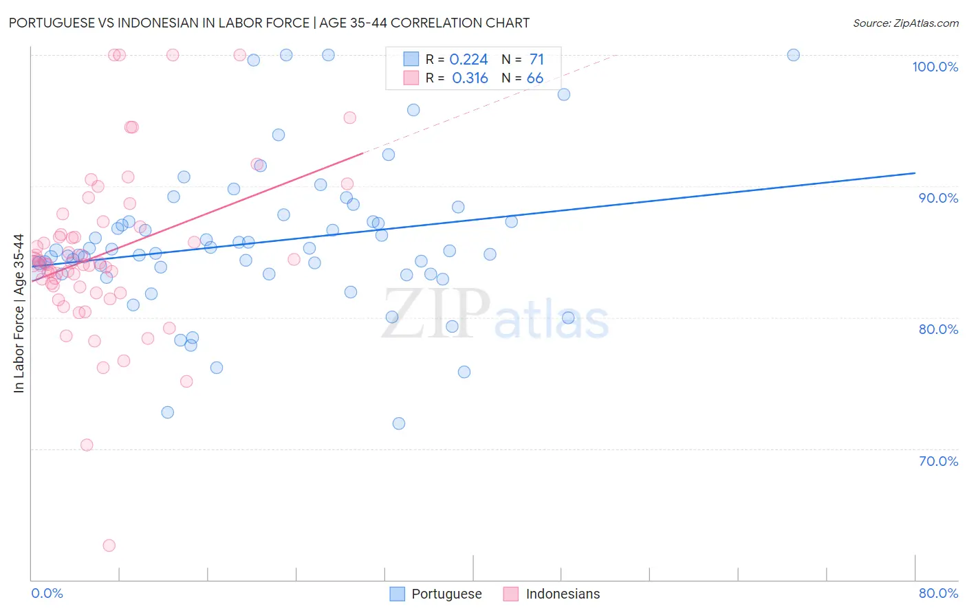 Portuguese vs Indonesian In Labor Force | Age 35-44