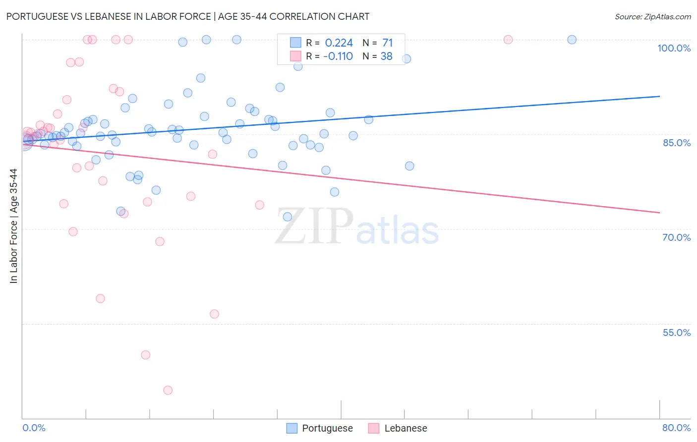 Portuguese vs Lebanese In Labor Force | Age 35-44