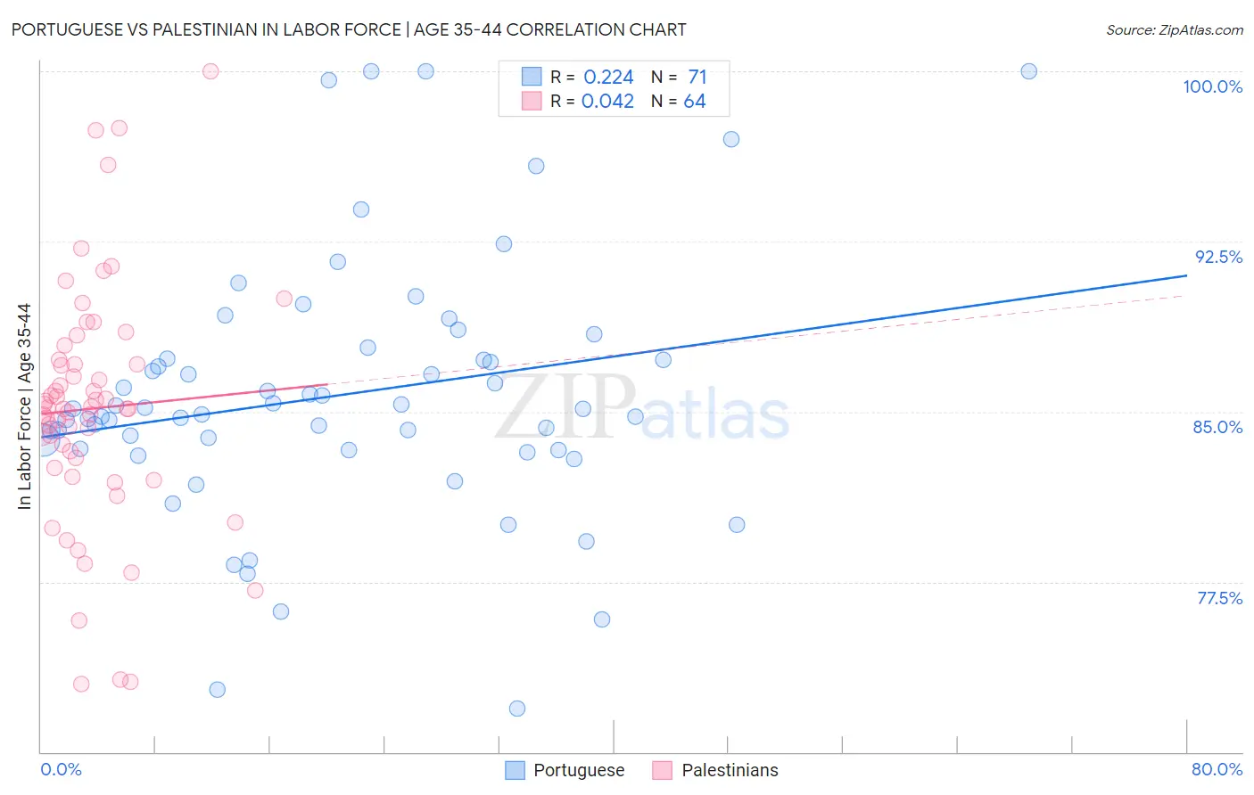 Portuguese vs Palestinian In Labor Force | Age 35-44