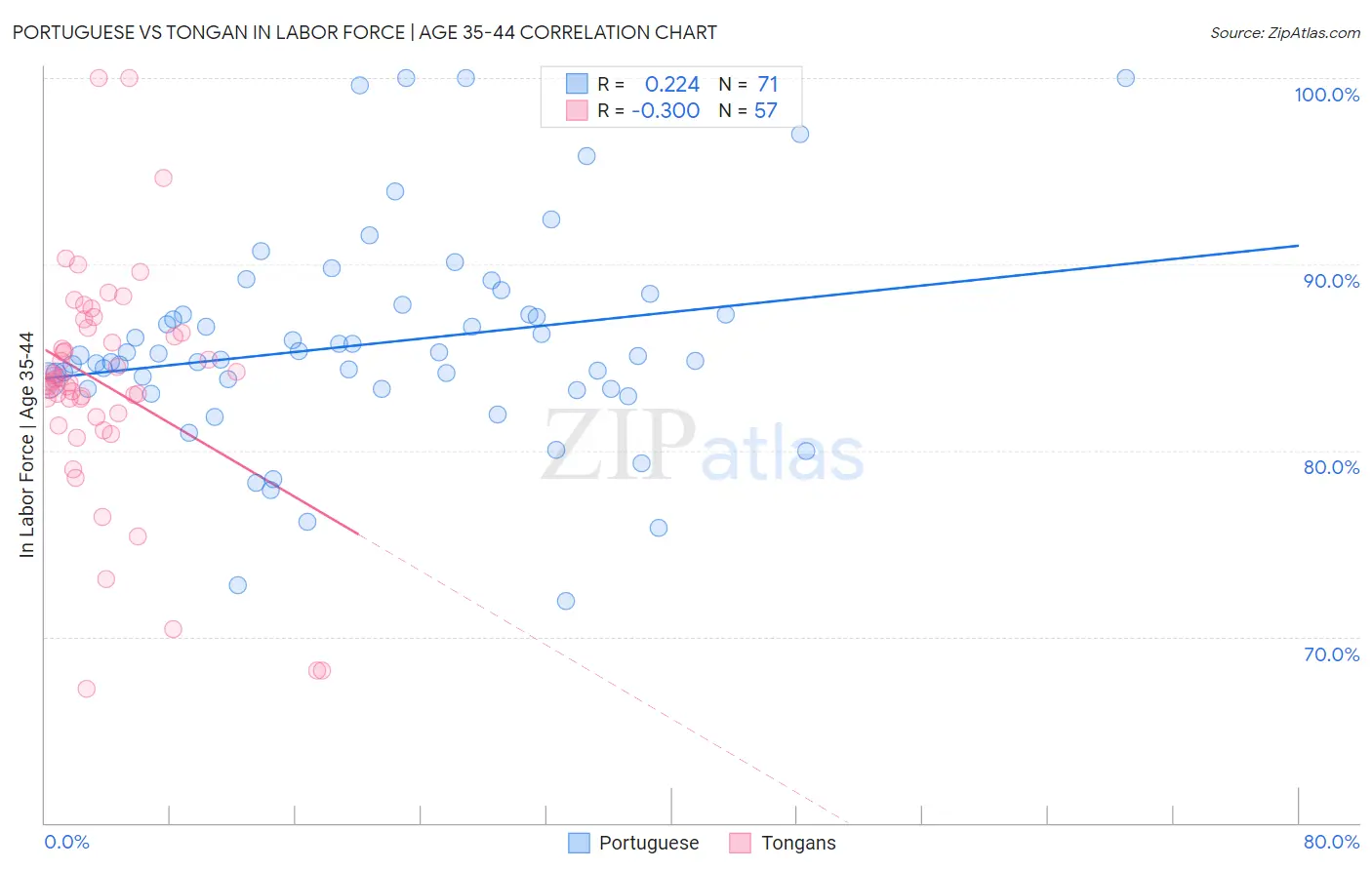 Portuguese vs Tongan In Labor Force | Age 35-44