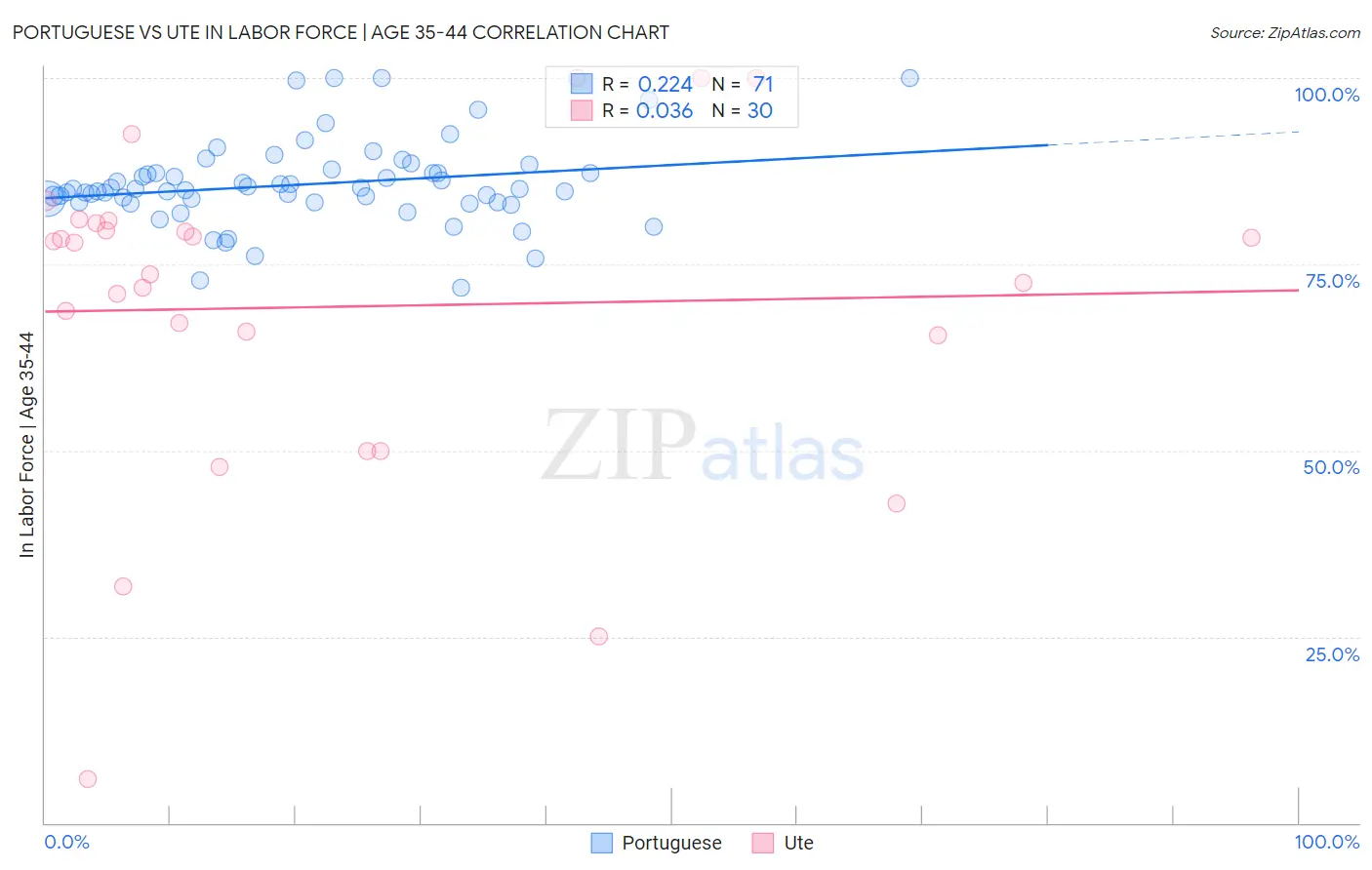 Portuguese vs Ute In Labor Force | Age 35-44