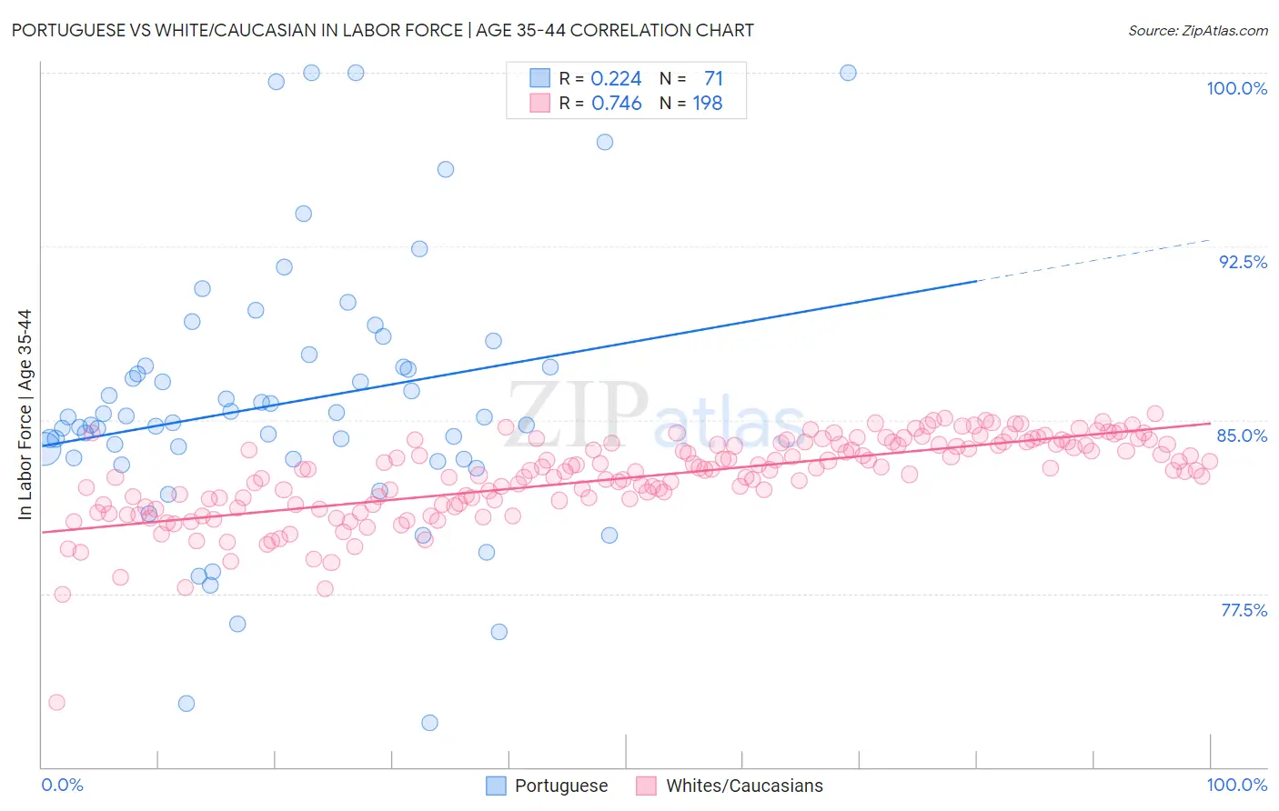 Portuguese vs White/Caucasian In Labor Force | Age 35-44