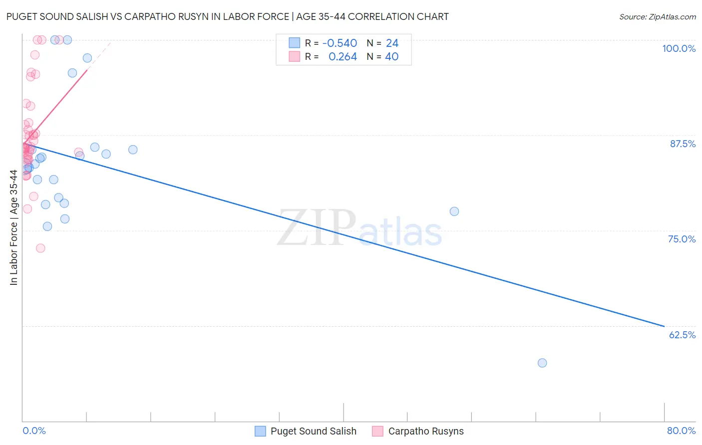 Puget Sound Salish vs Carpatho Rusyn In Labor Force | Age 35-44