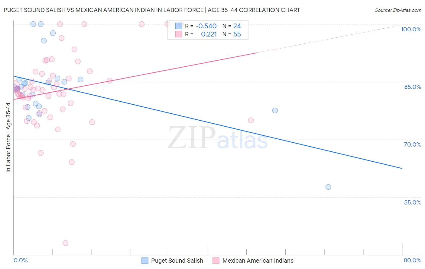 Puget Sound Salish vs Mexican American Indian In Labor Force | Age 35-44