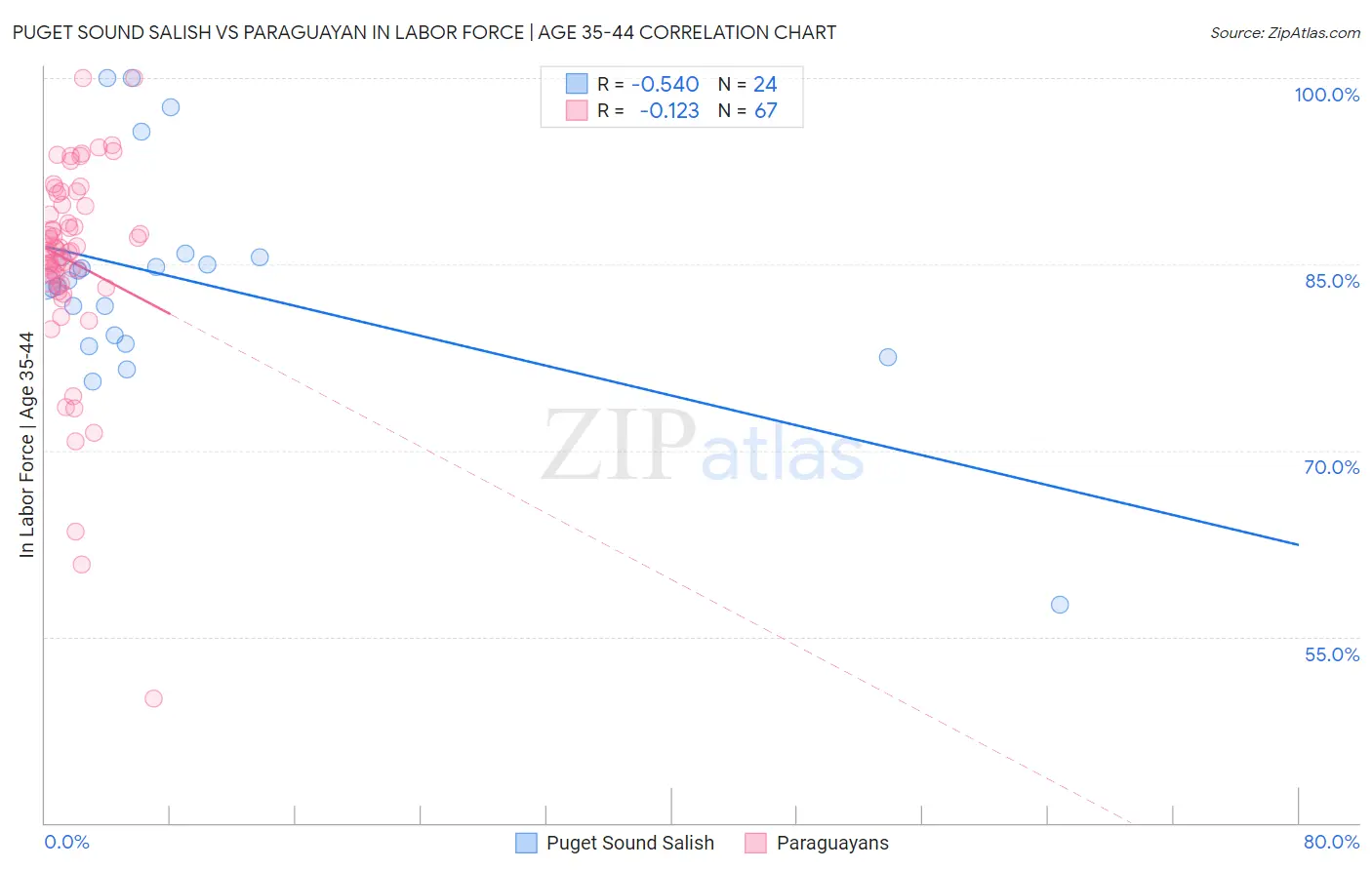 Puget Sound Salish vs Paraguayan In Labor Force | Age 35-44