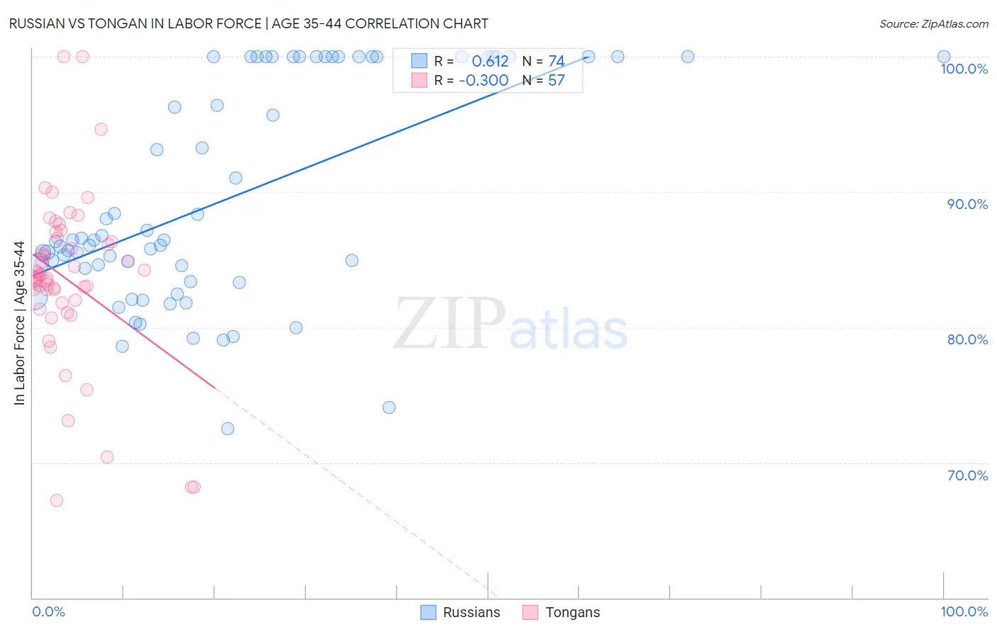 Russian vs Tongan In Labor Force | Age 35-44