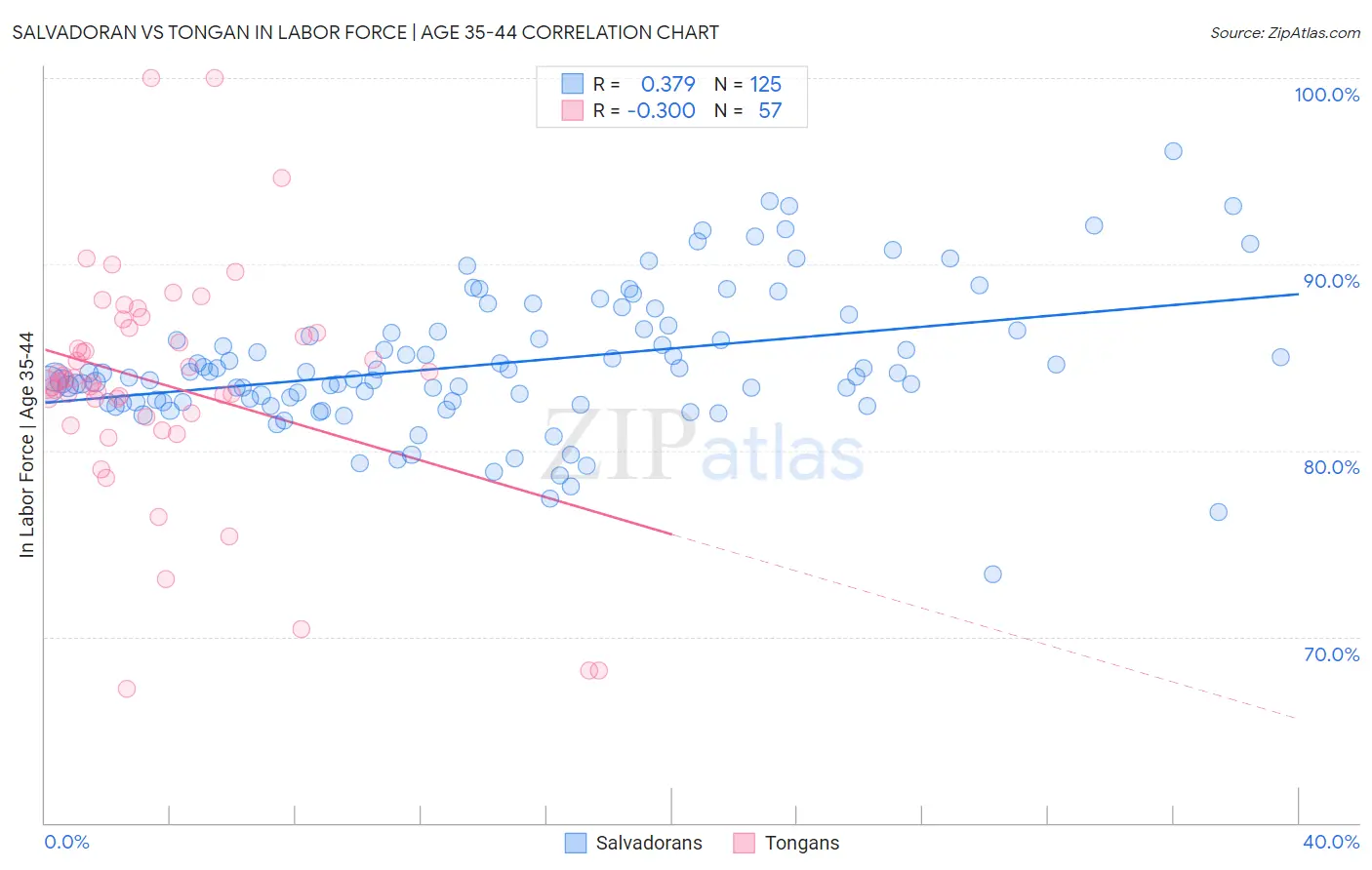 Salvadoran vs Tongan In Labor Force | Age 35-44