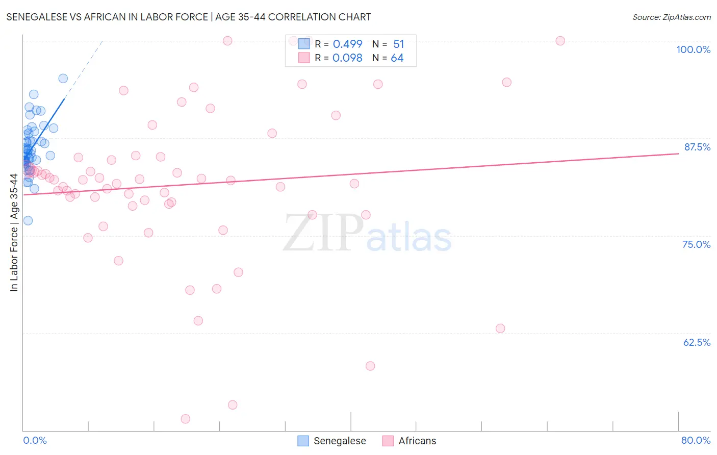 Senegalese vs African In Labor Force | Age 35-44