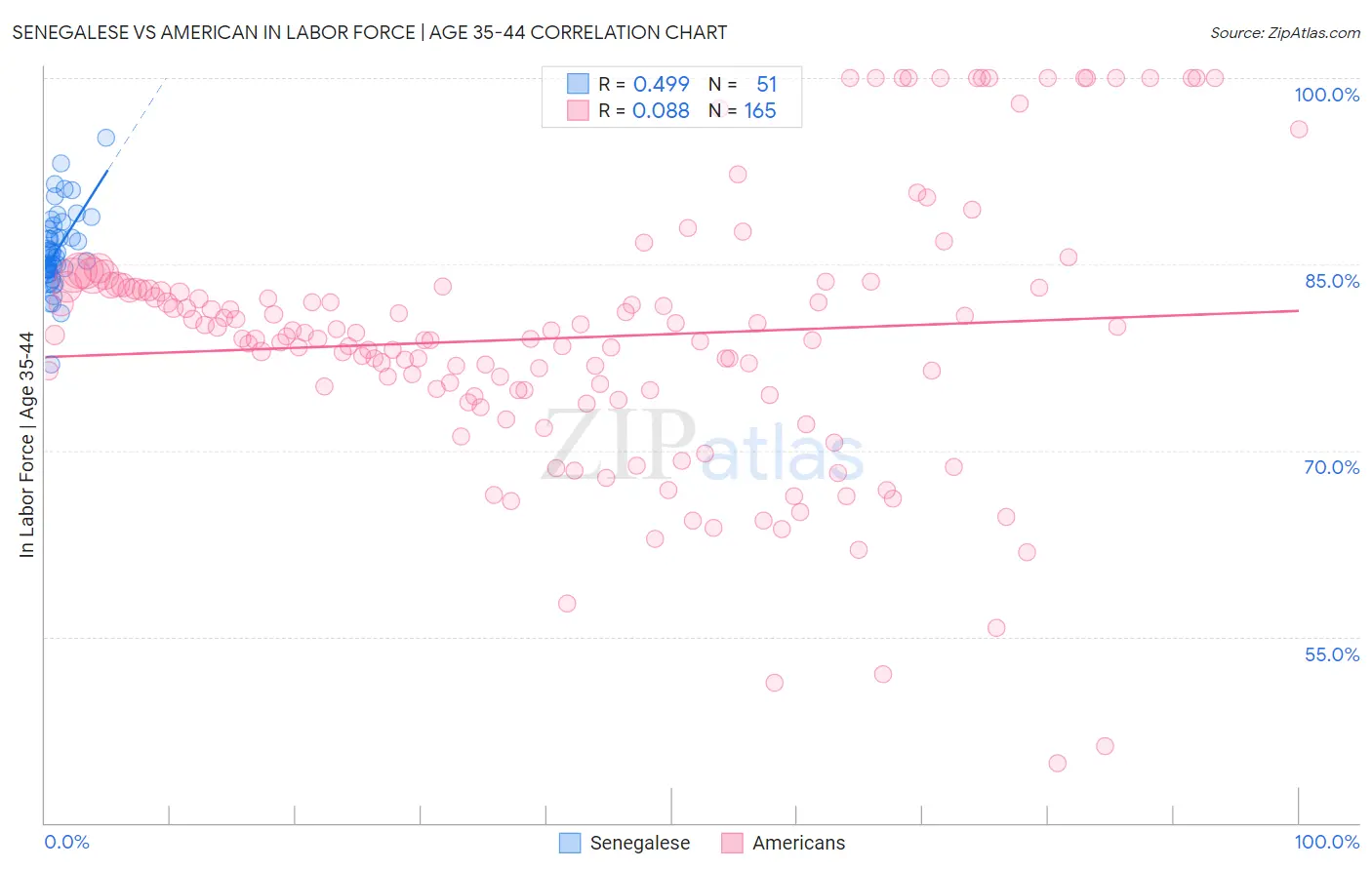 Senegalese vs American In Labor Force | Age 35-44