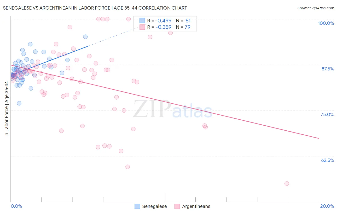 Senegalese vs Argentinean In Labor Force | Age 35-44
