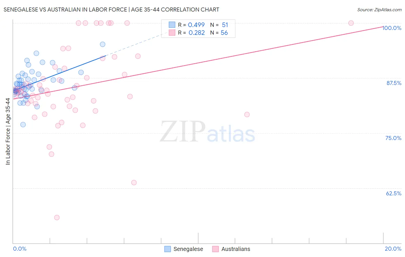 Senegalese vs Australian In Labor Force | Age 35-44