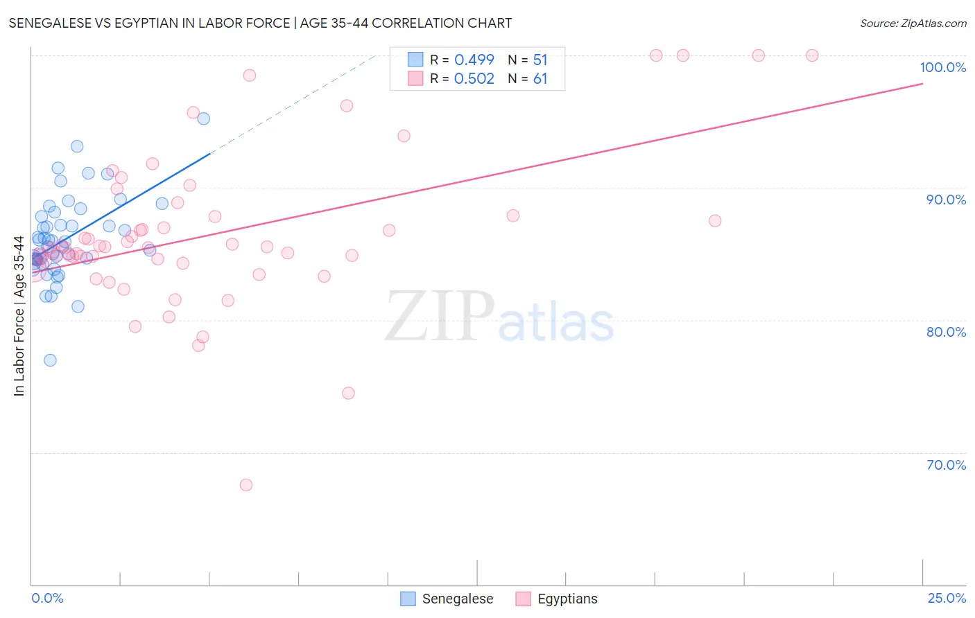 Senegalese vs Egyptian In Labor Force | Age 35-44