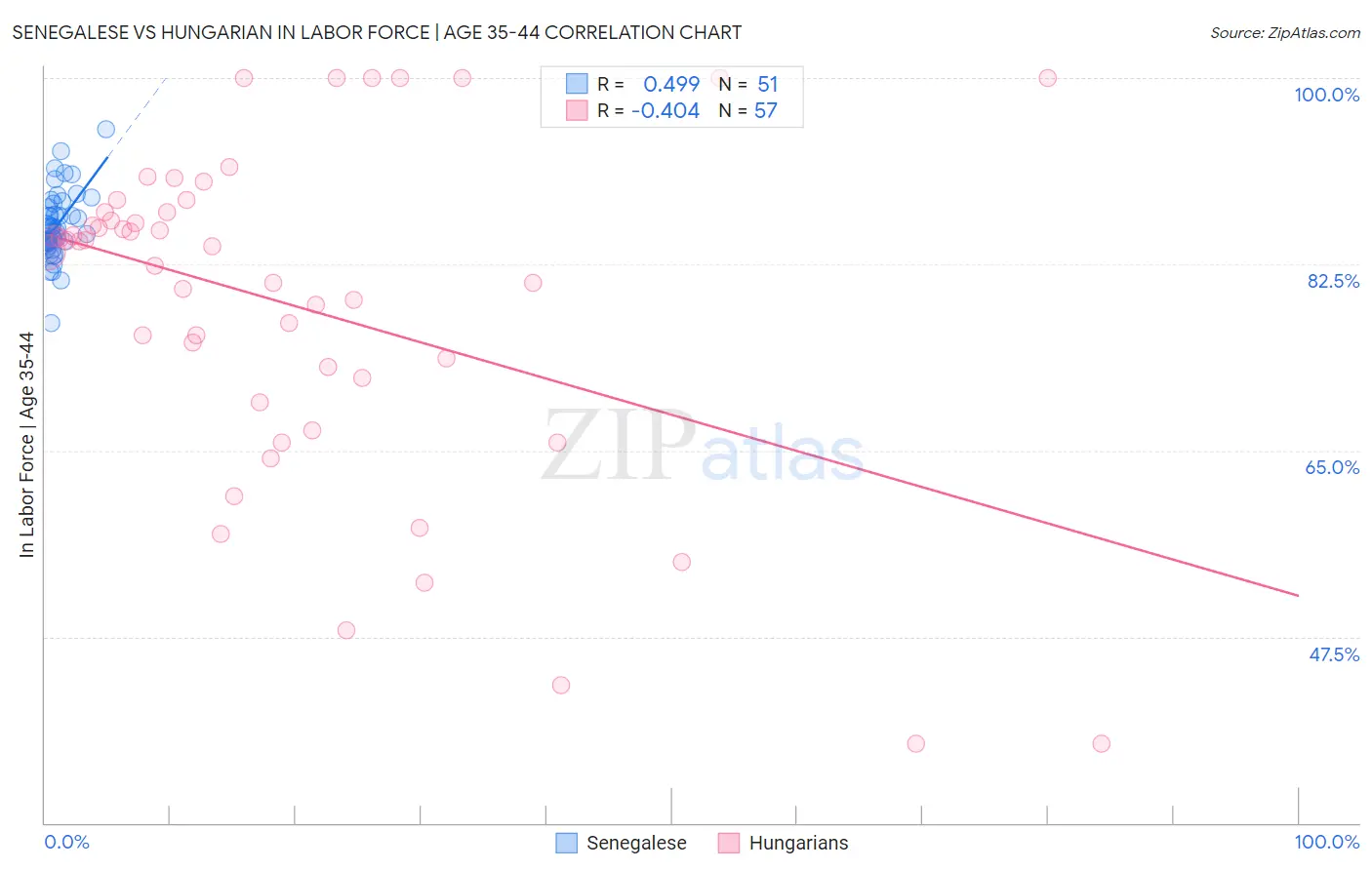 Senegalese vs Hungarian In Labor Force | Age 35-44