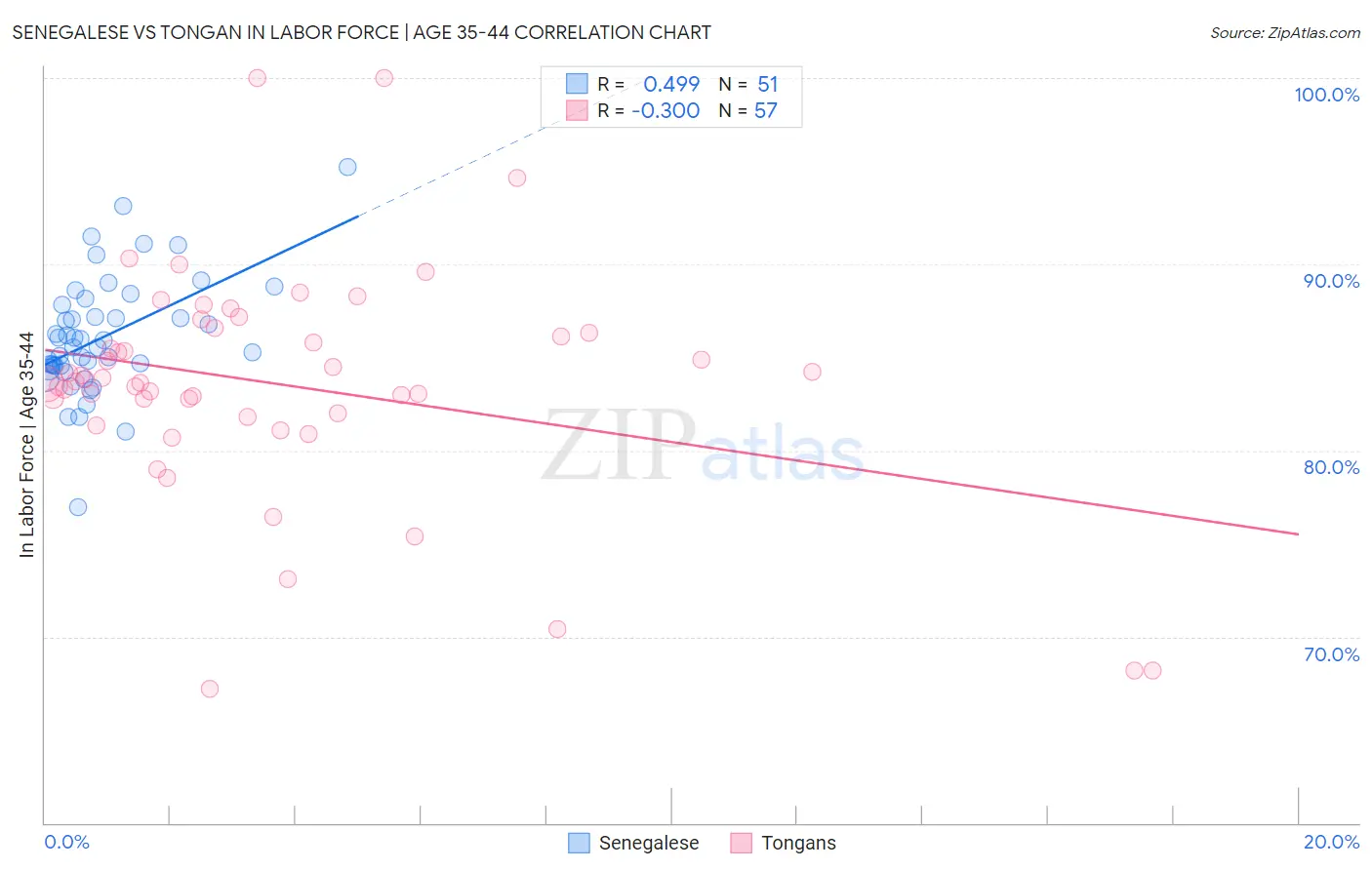 Senegalese vs Tongan In Labor Force | Age 35-44