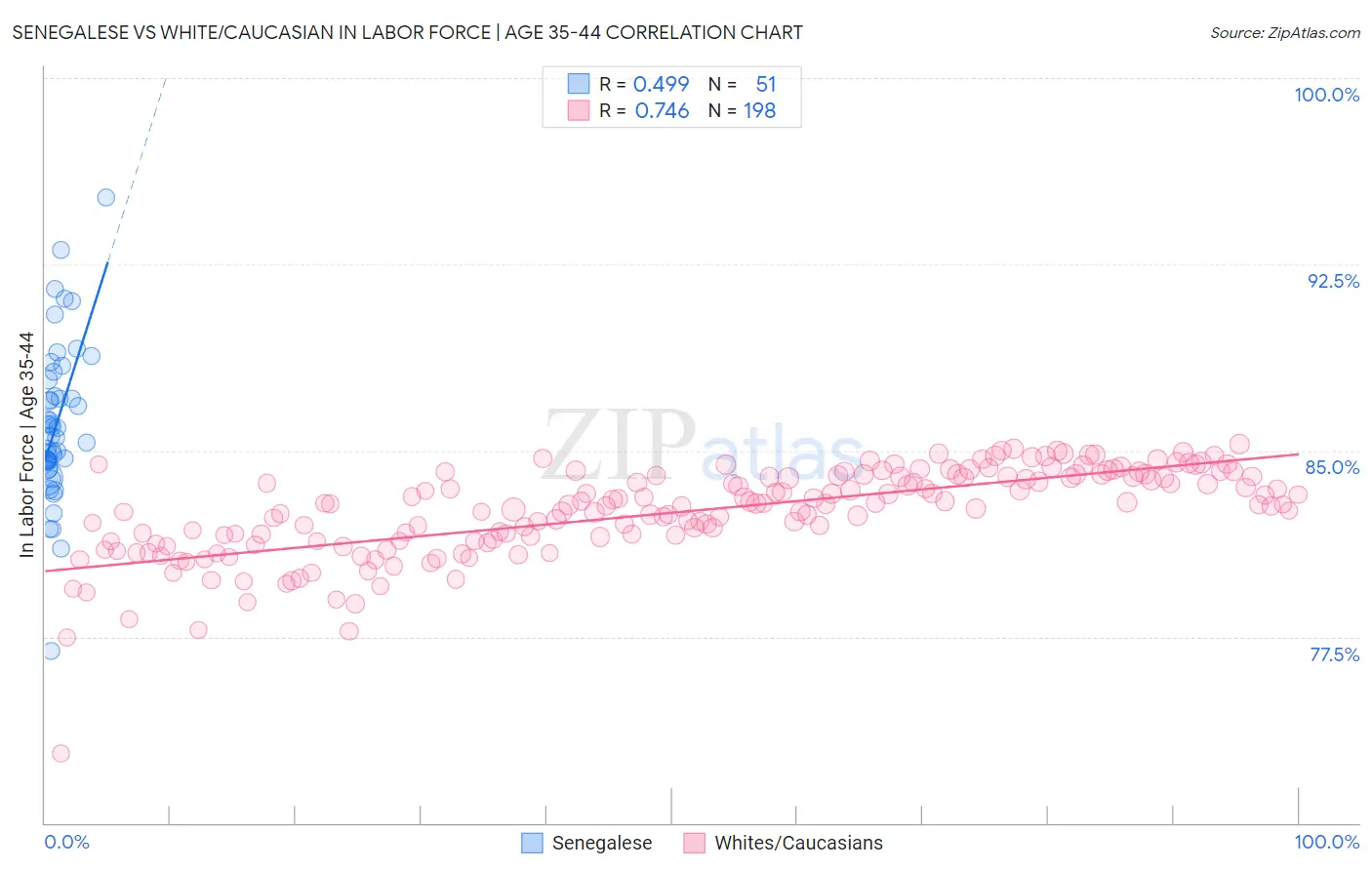 Senegalese vs White/Caucasian In Labor Force | Age 35-44