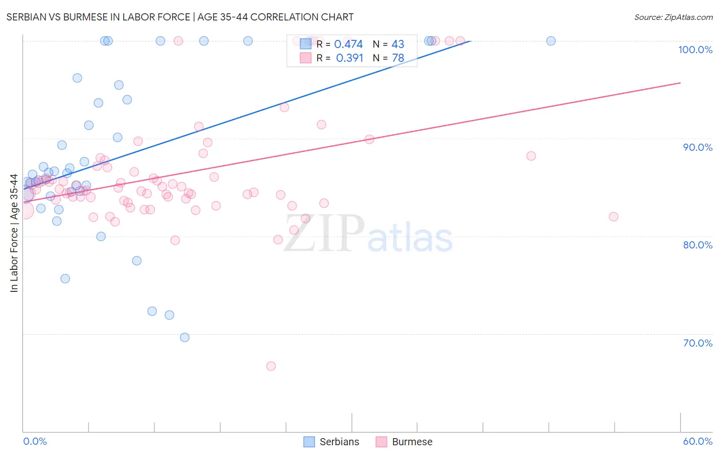 Serbian vs Burmese In Labor Force | Age 35-44