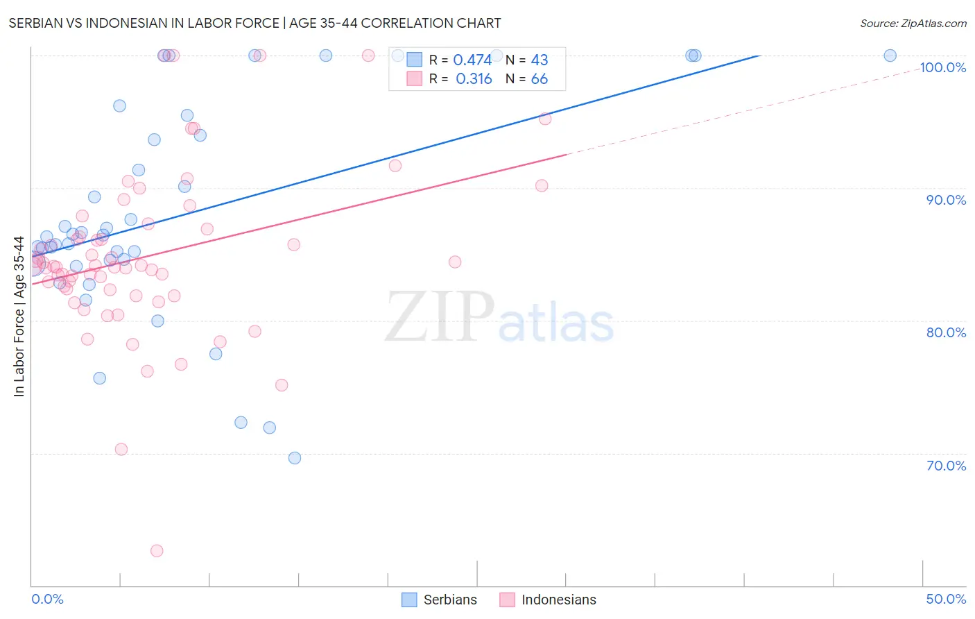 Serbian vs Indonesian In Labor Force | Age 35-44