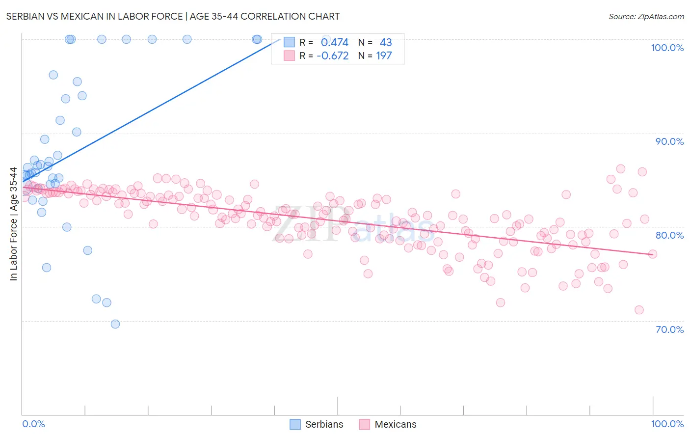 Serbian vs Mexican In Labor Force | Age 35-44