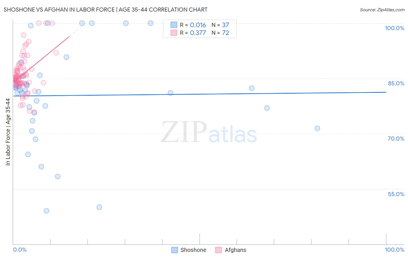 Shoshone vs Afghan In Labor Force | Age 35-44