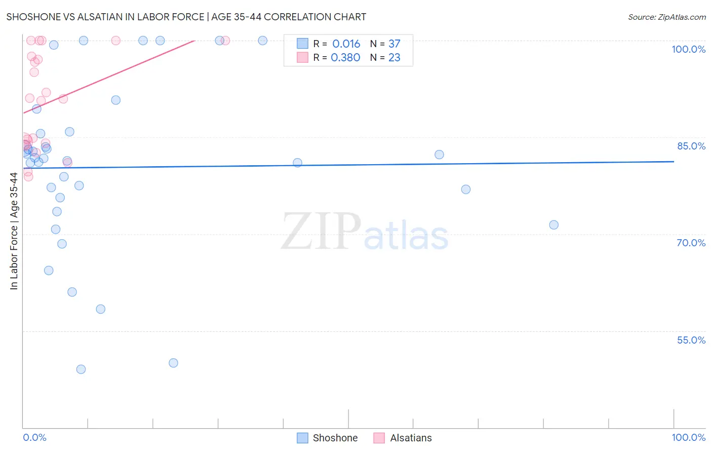 Shoshone vs Alsatian In Labor Force | Age 35-44