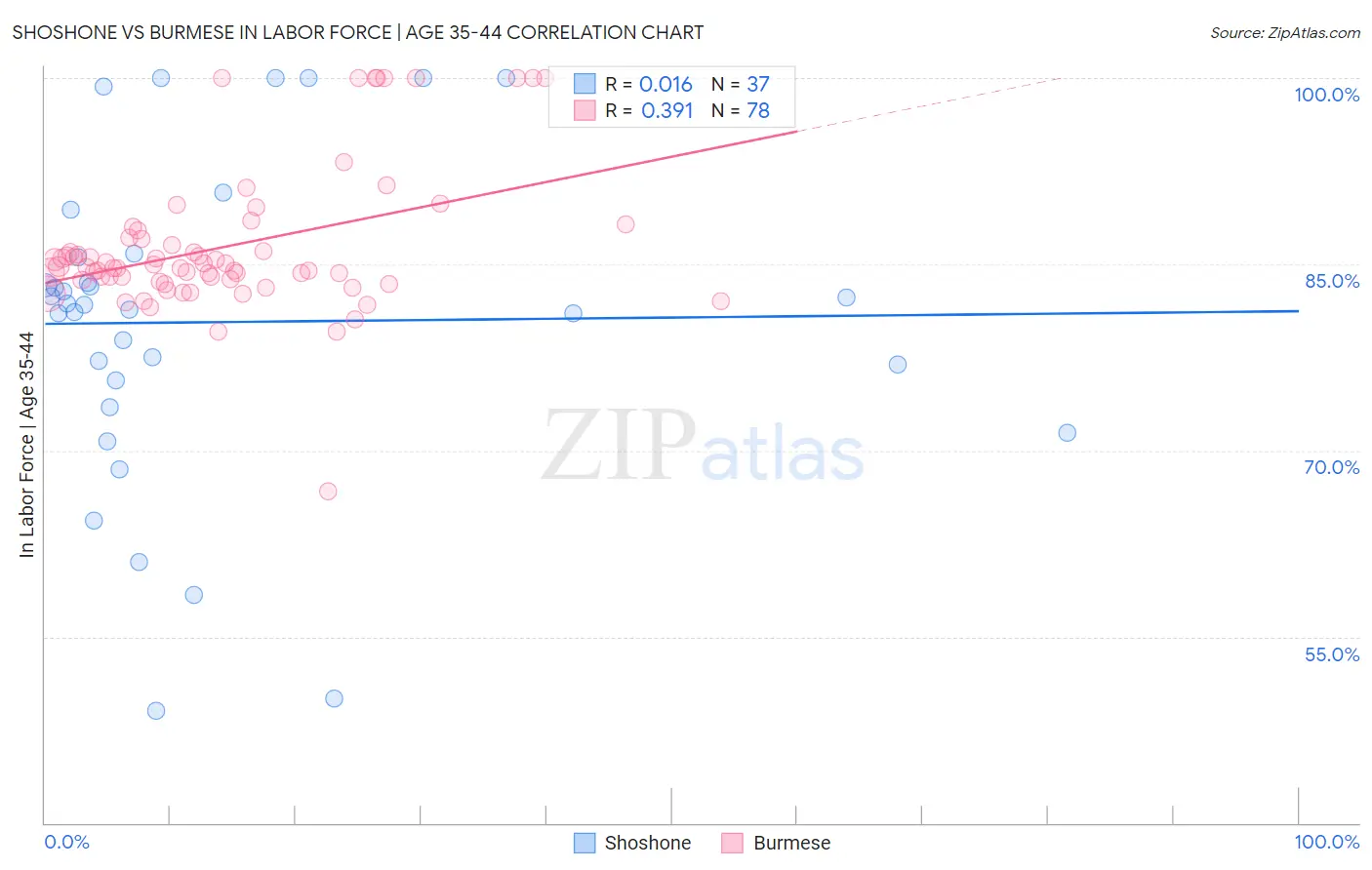 Shoshone vs Burmese In Labor Force | Age 35-44
